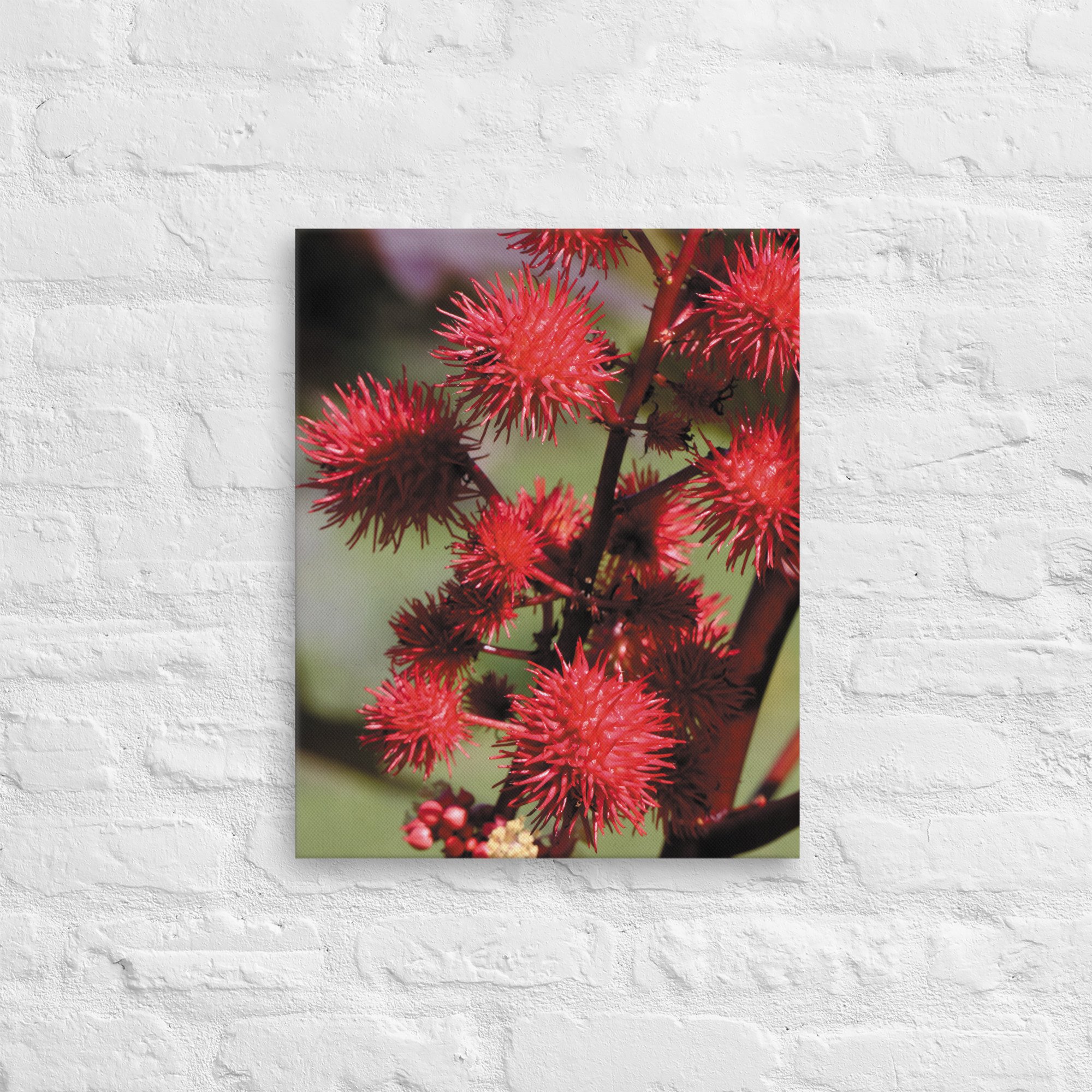thin-canvas-(in)-16x20-front-66e268151404c.jpg