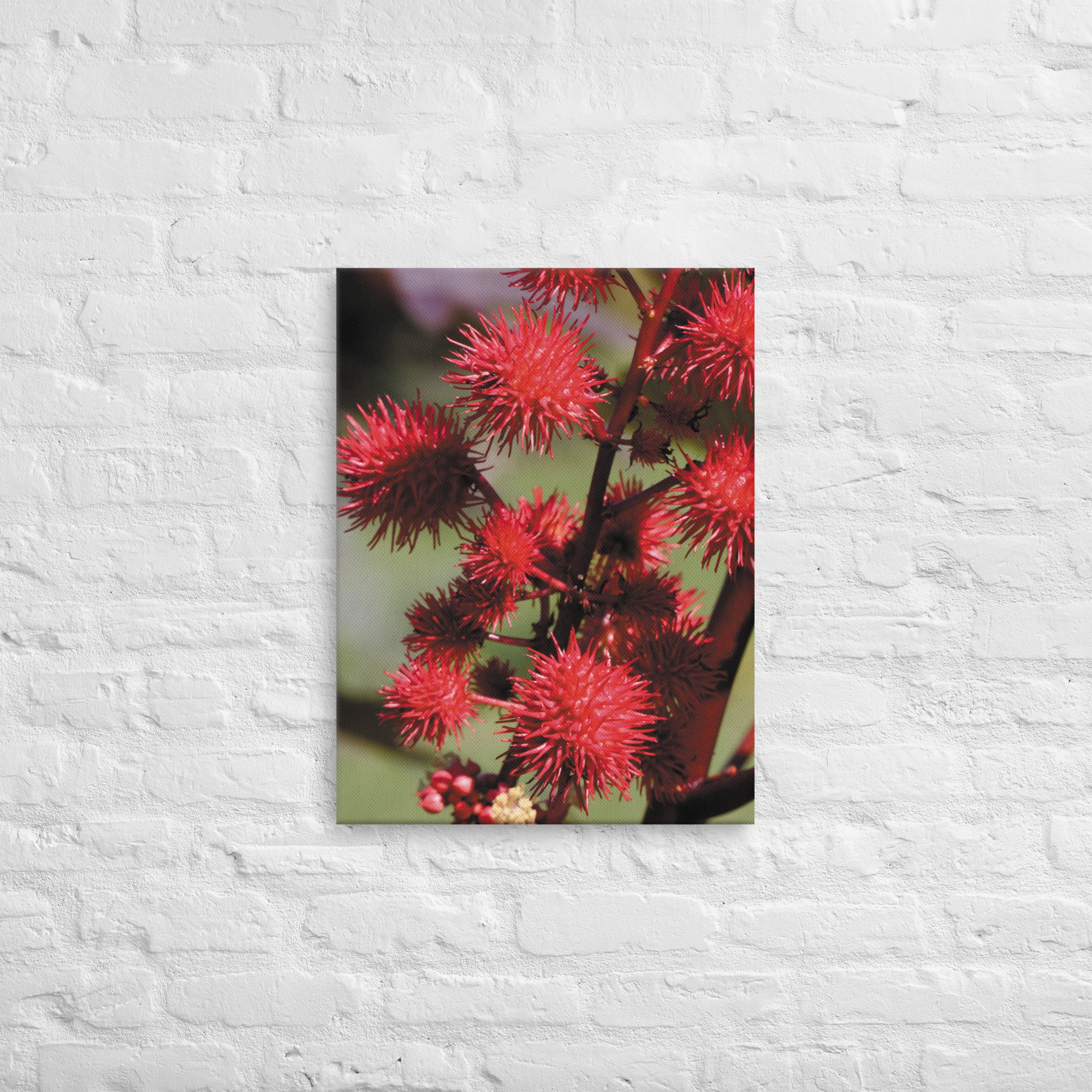 thin-canvas-(in)-18x24-front-66e2681514102.jpg