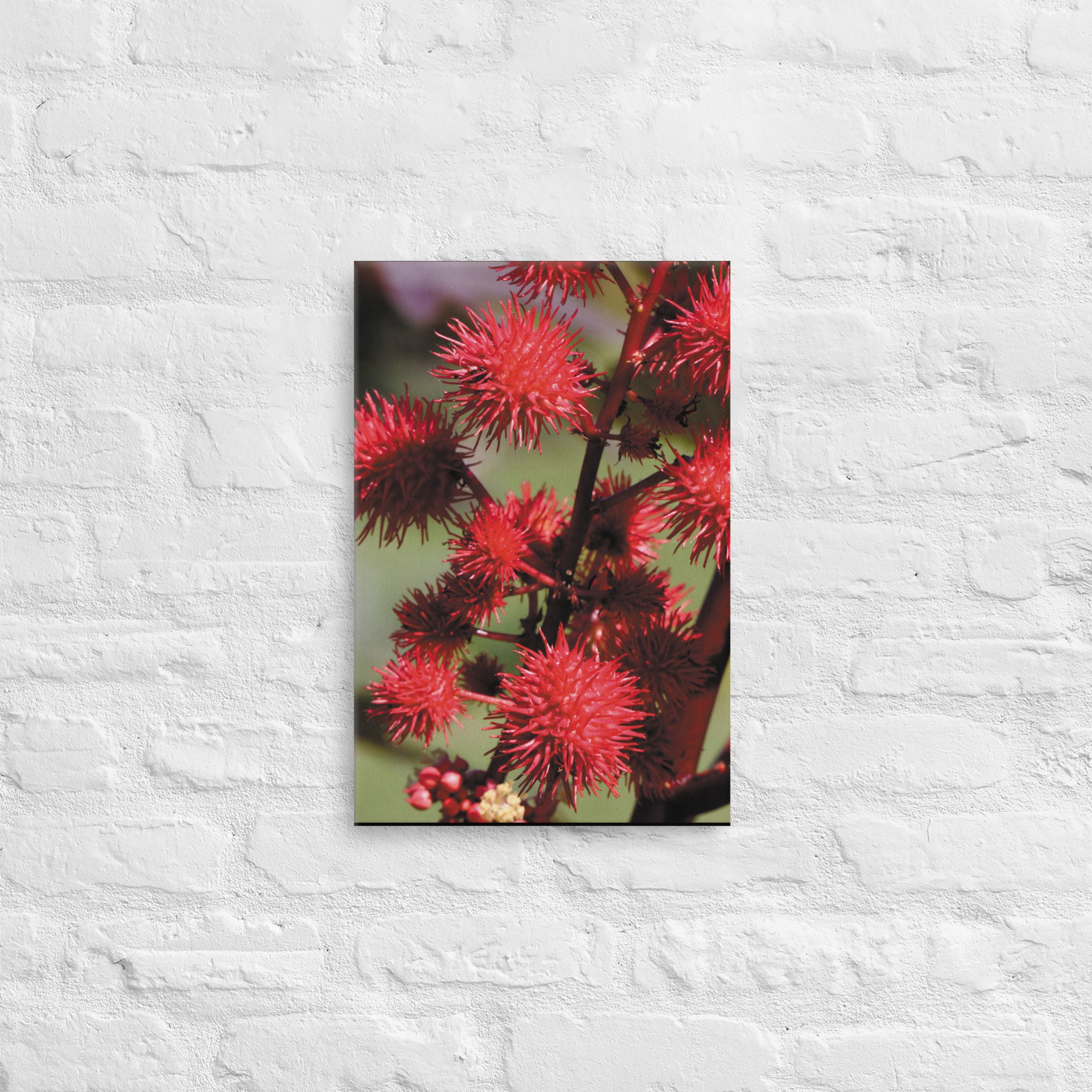 thin-canvas-(in)-12x18-front-66e268151434b.jpg