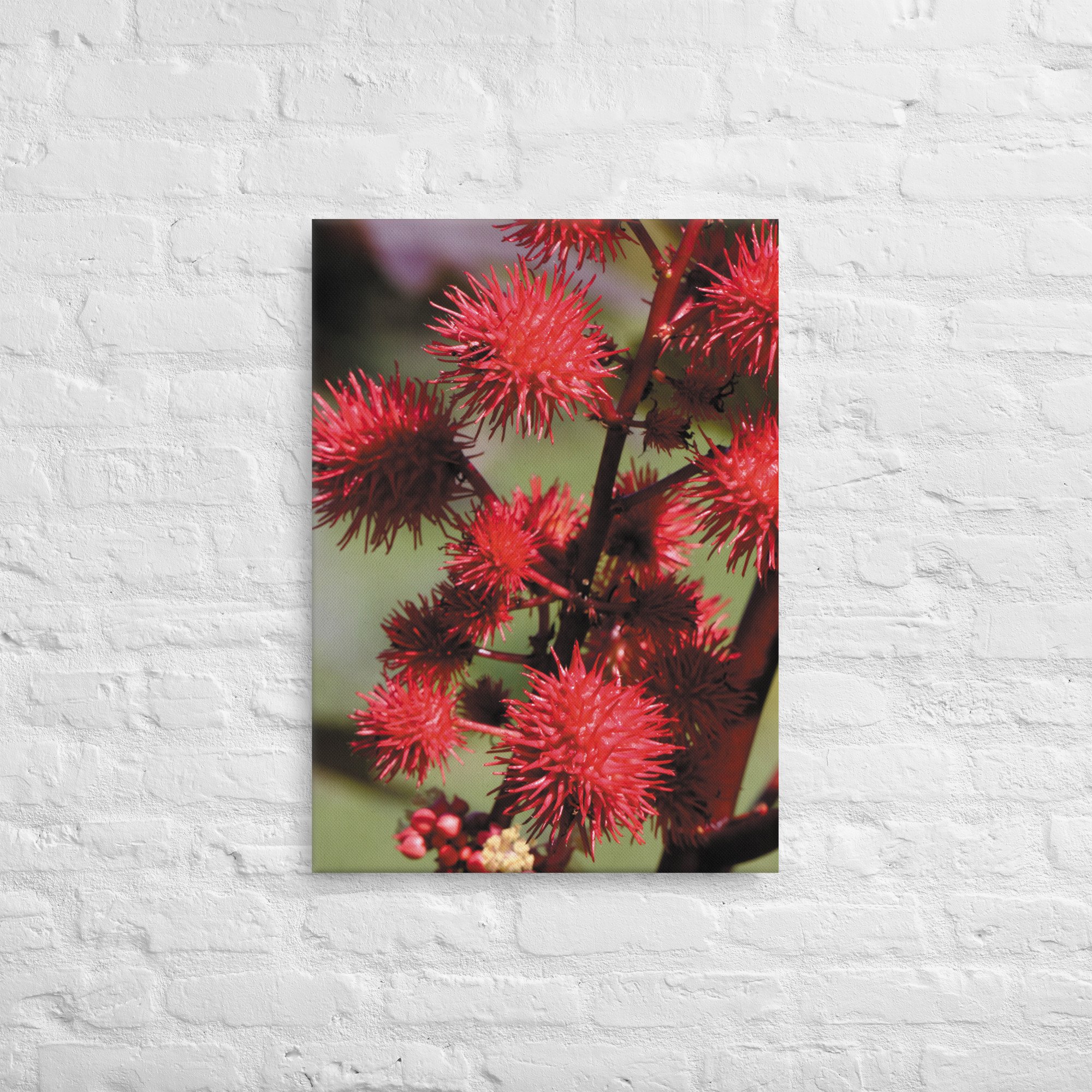 thin-canvas-(in)-20x28-front-66e268151440f.jpg