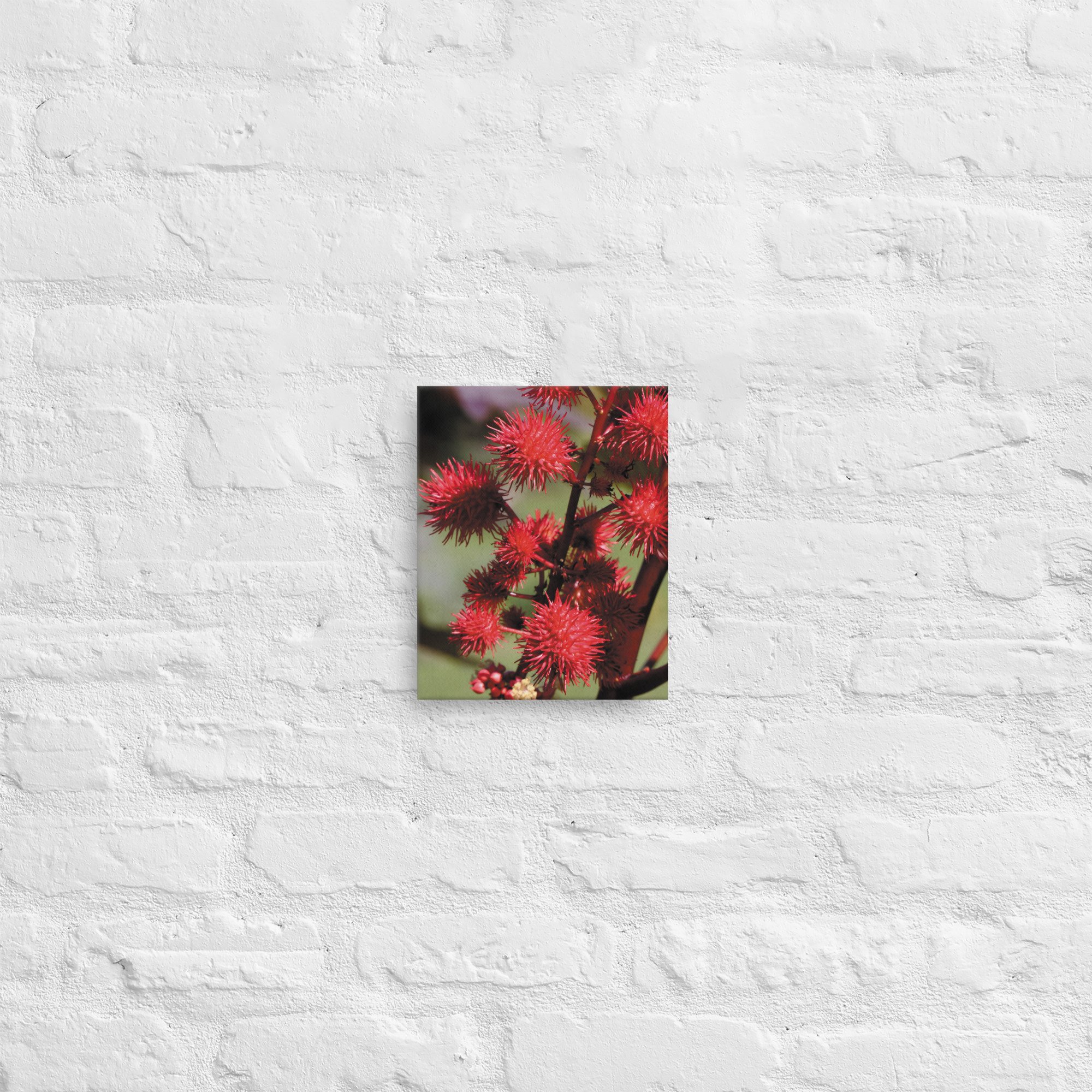 thin-canvas-(in)-8x10-front-66e268151459b.jpg