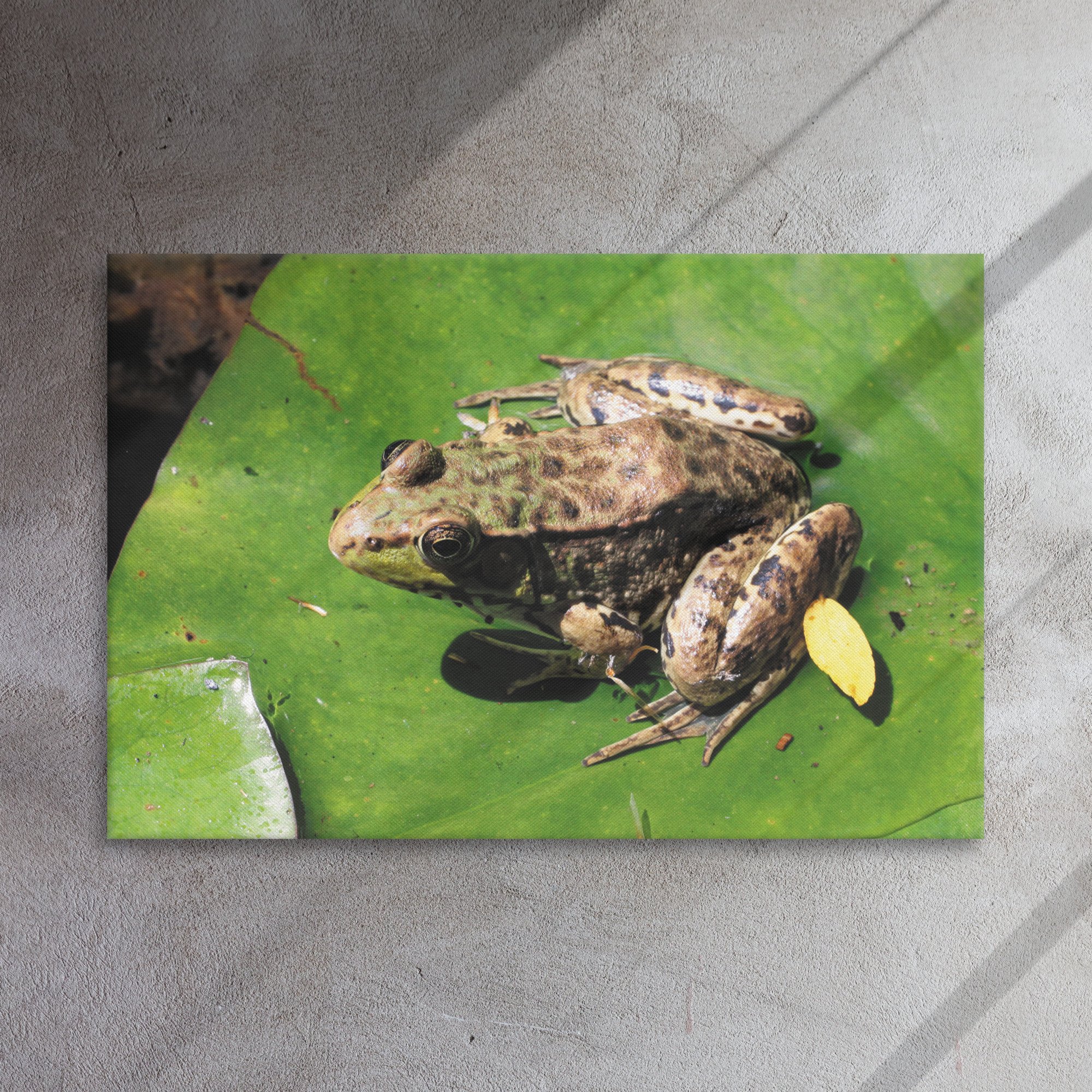 thin-canvas-(in)-24x36-front-66e2f9d18d40a.jpg