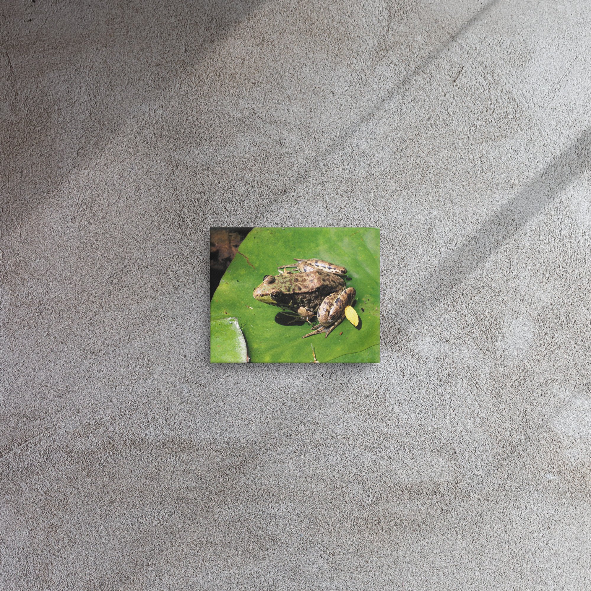 thin-canvas-(in)-8x10-front-66e2f9d18d7bf.jpg