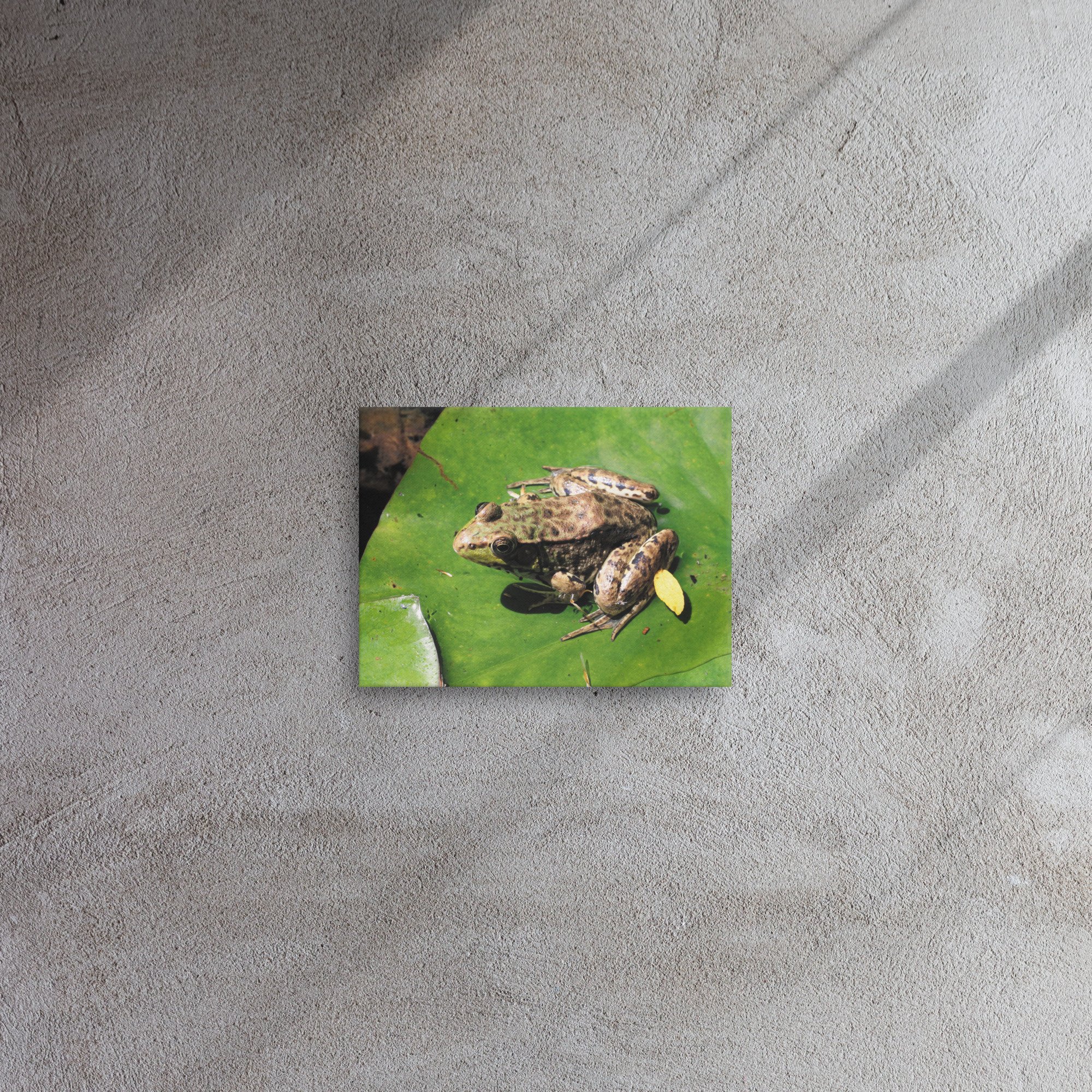 thin-canvas-(in)-9x12-front-66e2f9d18d8bc.jpg