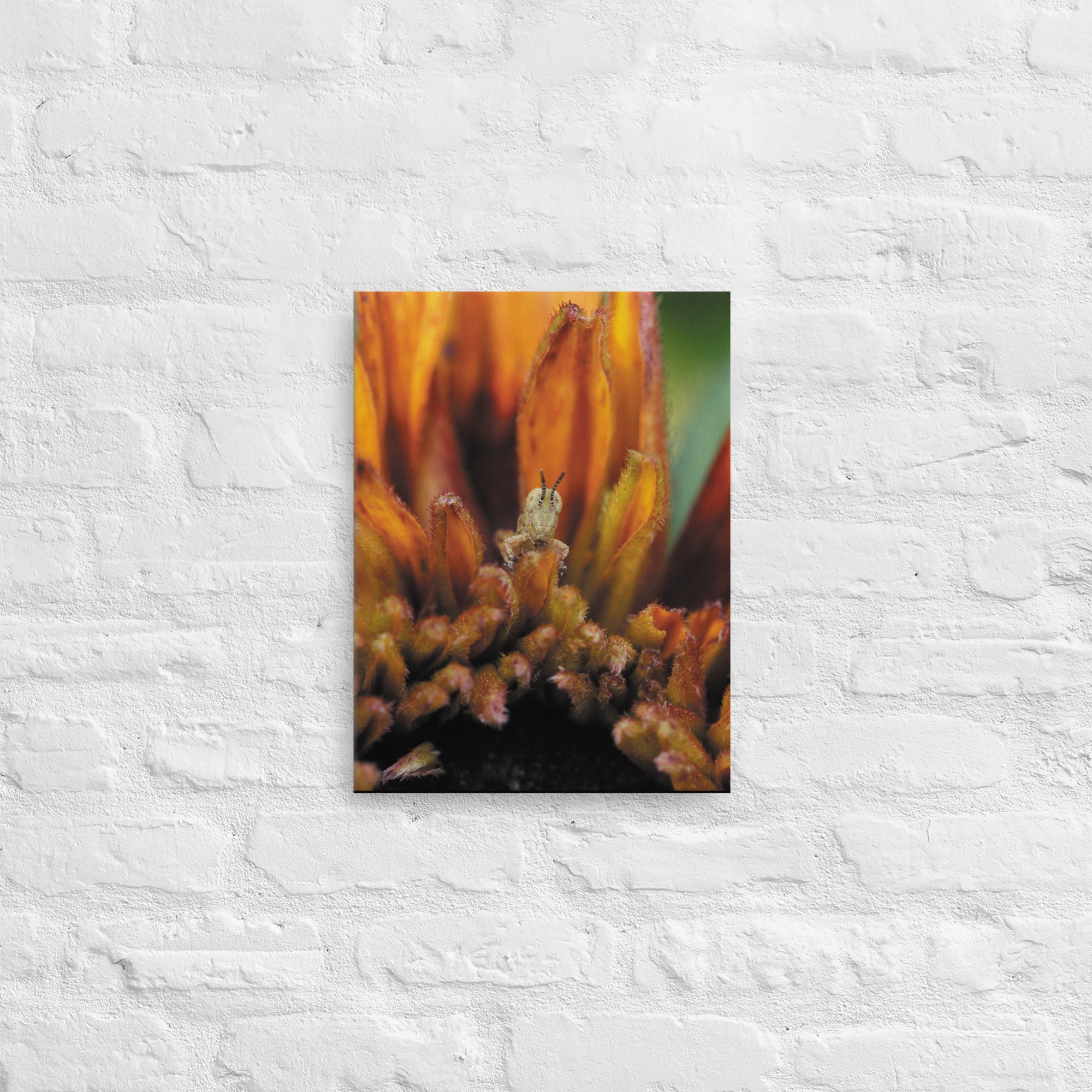 thin-canvas-(in)-12x16-front-66e370da5f692.jpg