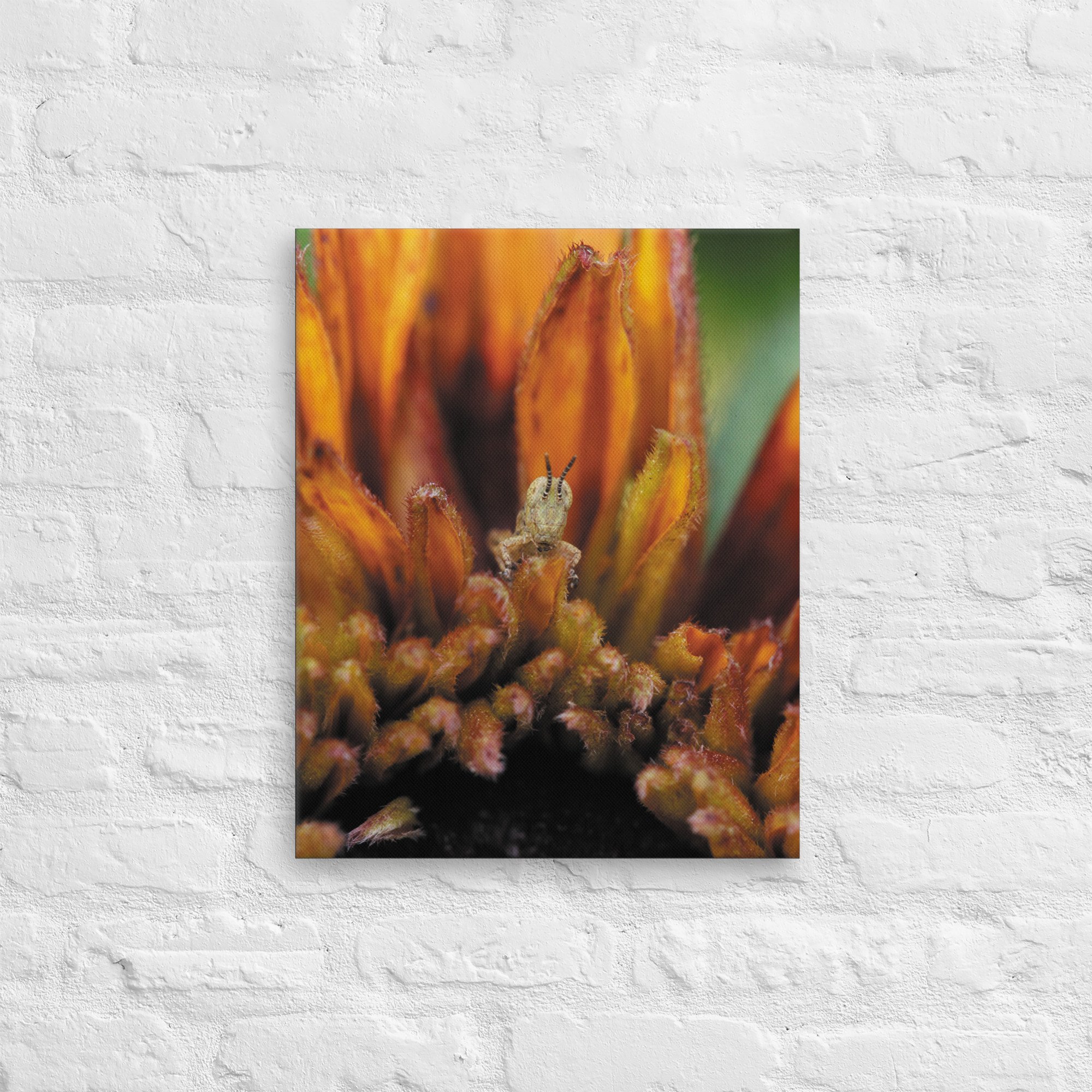 thin-canvas-(in)-16x20-front-66e370da5f778.jpg