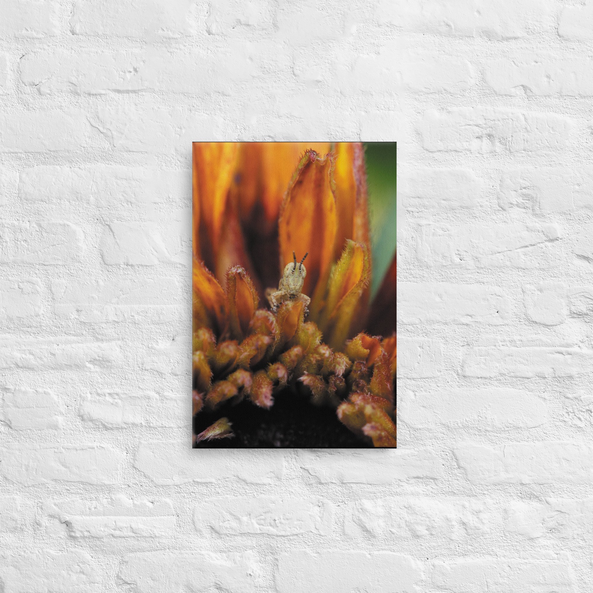 thin-canvas-(in)-12x18-front-66e370da5fa57.jpg