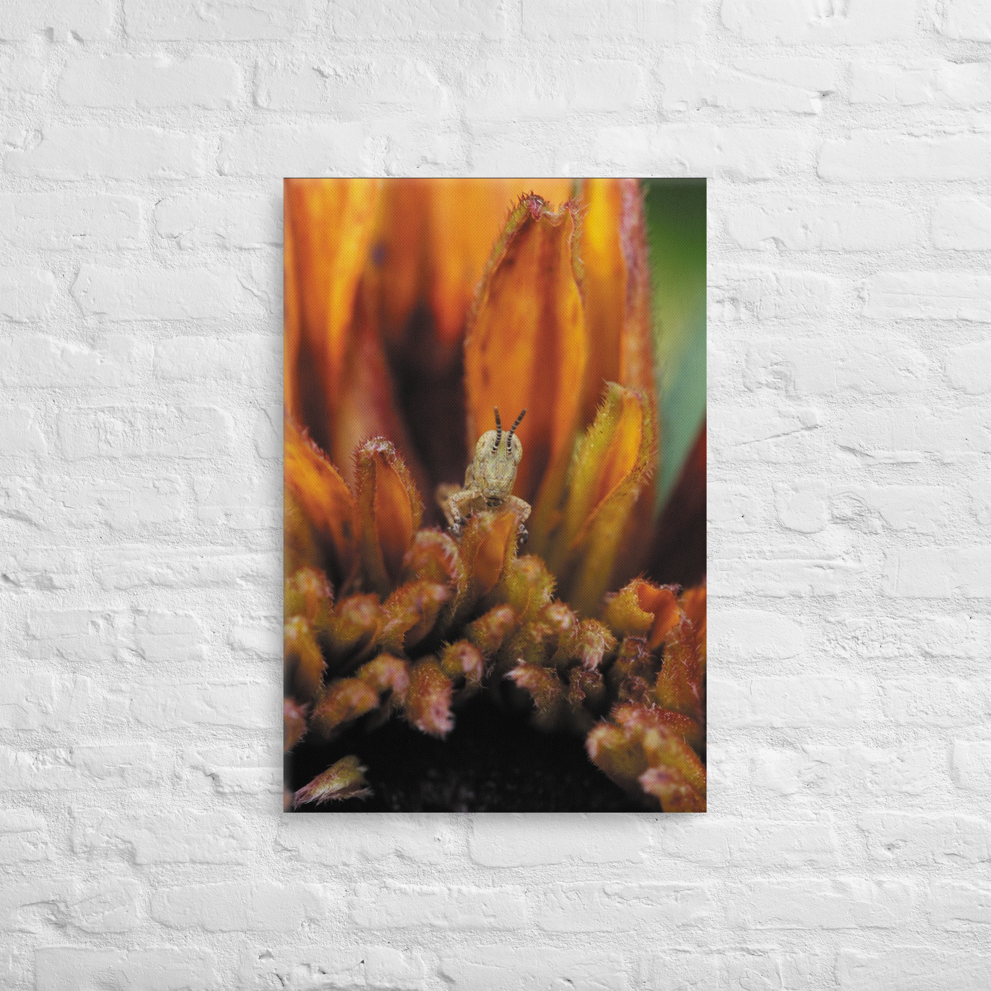 thin-canvas-(in)-20x30-front-66e370da5fbc0.jpg