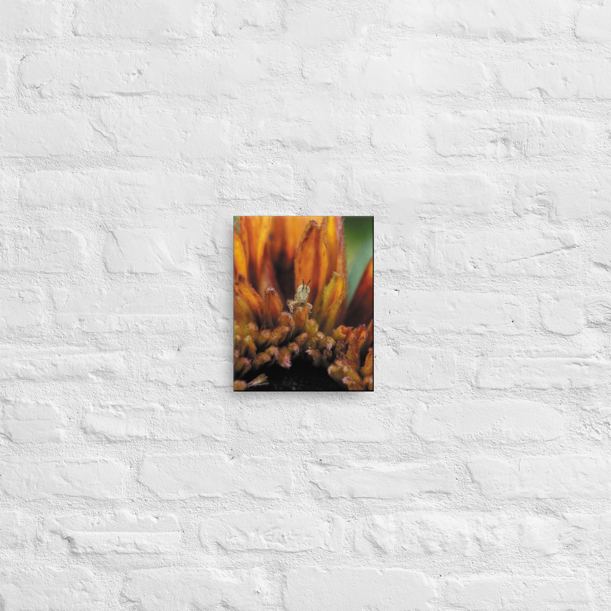 thin-canvas-(in)-8x10-front-66e370da5fc4e.jpg
