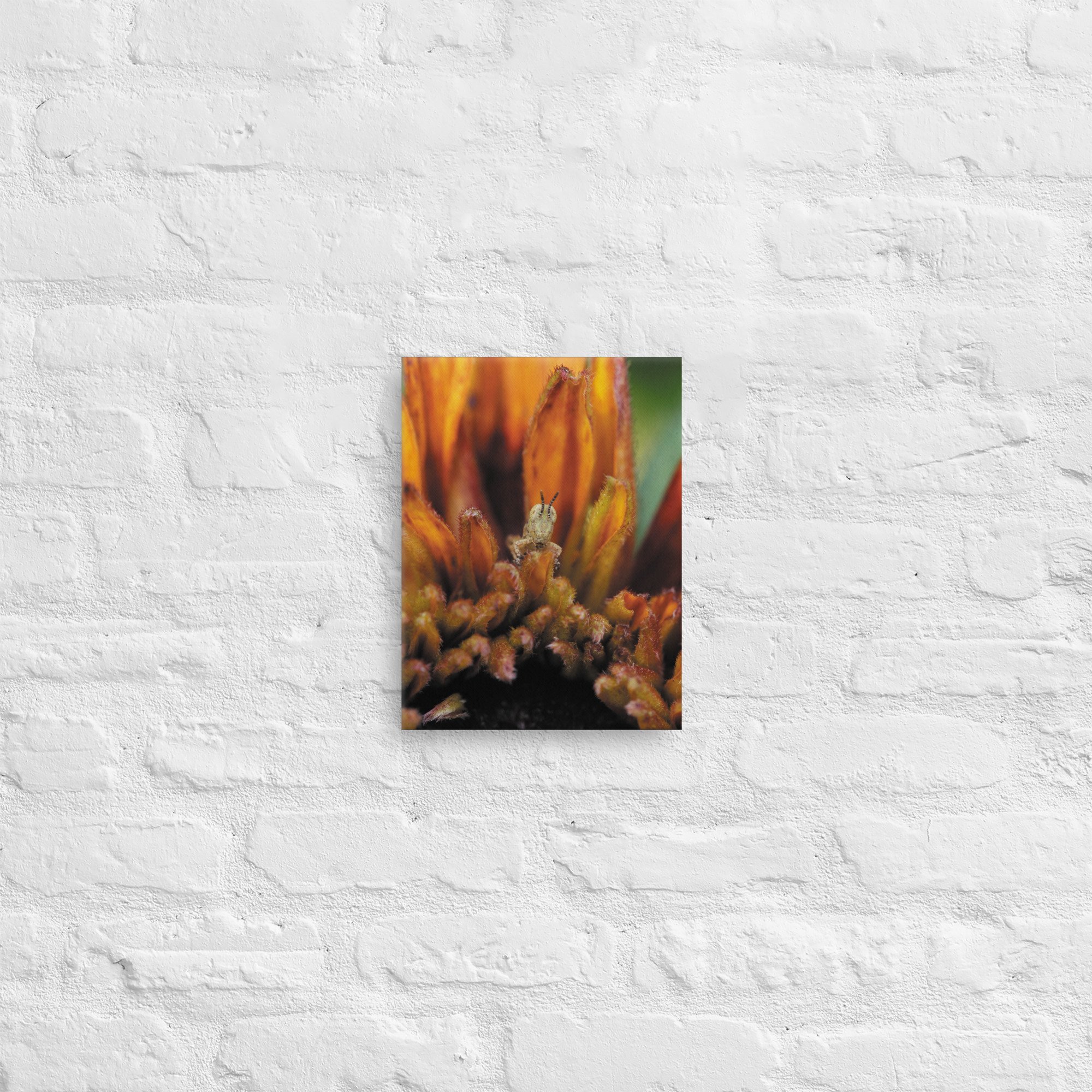 thin-canvas-(in)-9x12-front-66e370da5fcf4.jpg