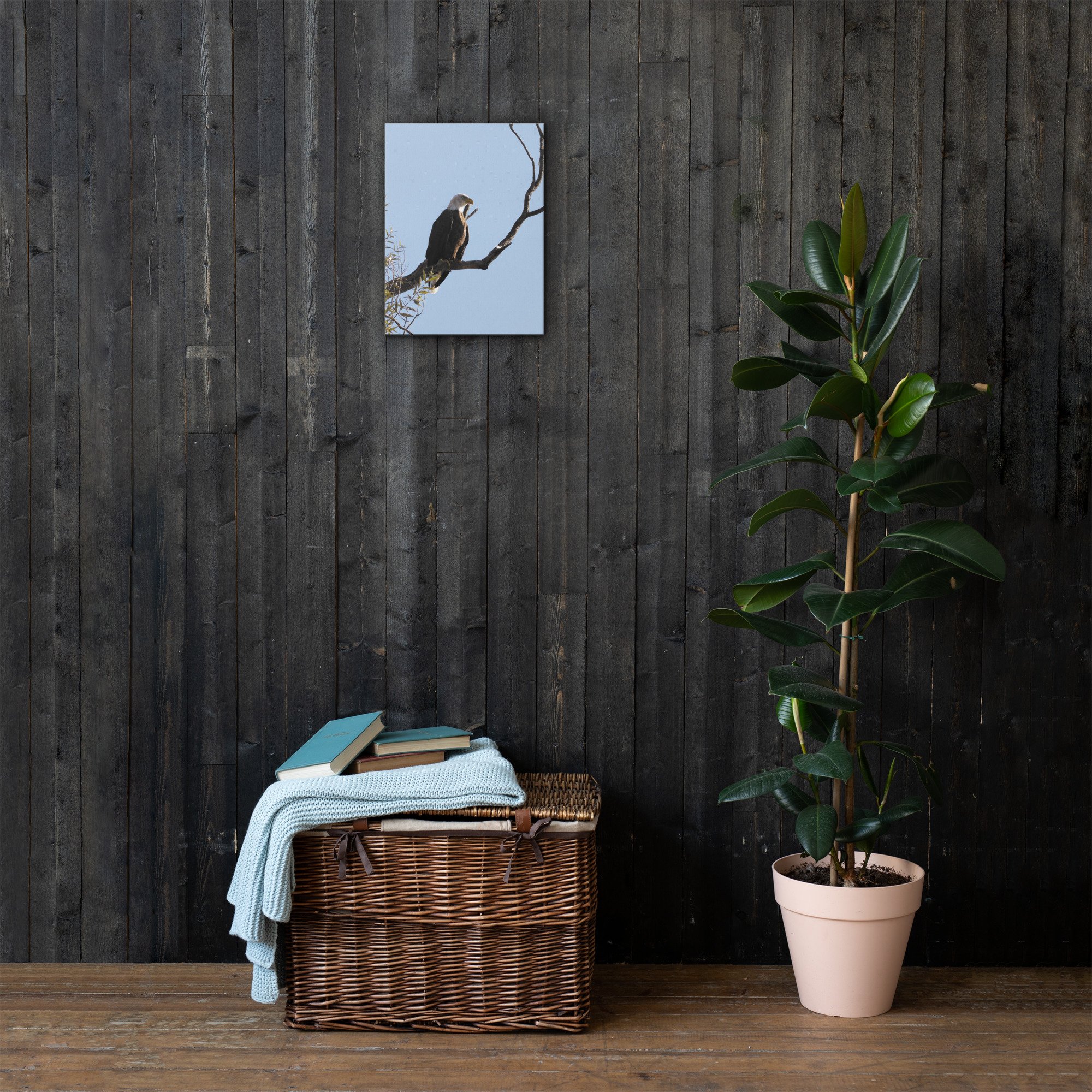 thin-canvas-(in)-12x16-front-66e38fadb271b.jpg