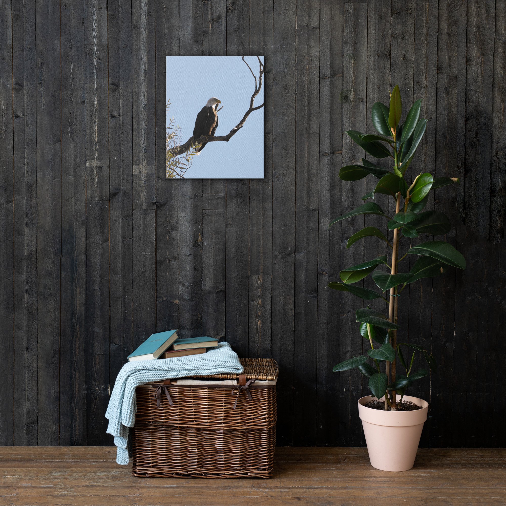 thin-canvas-(in)-16x20-front-66e38fadb282b.jpg