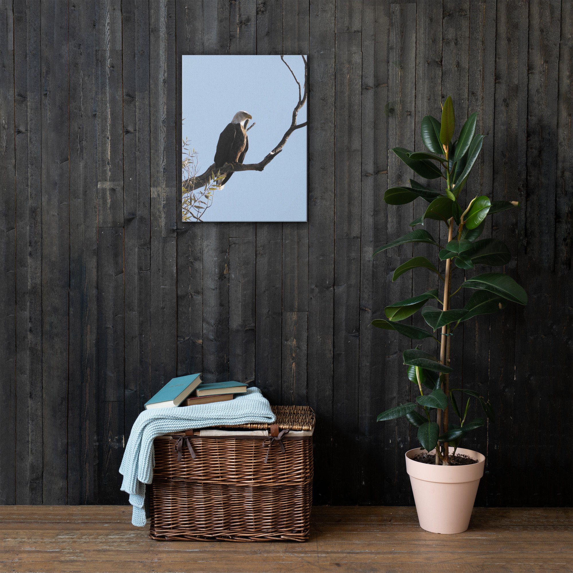 thin-canvas-(in)-18x24-front-66e38fadb28e2.jpg