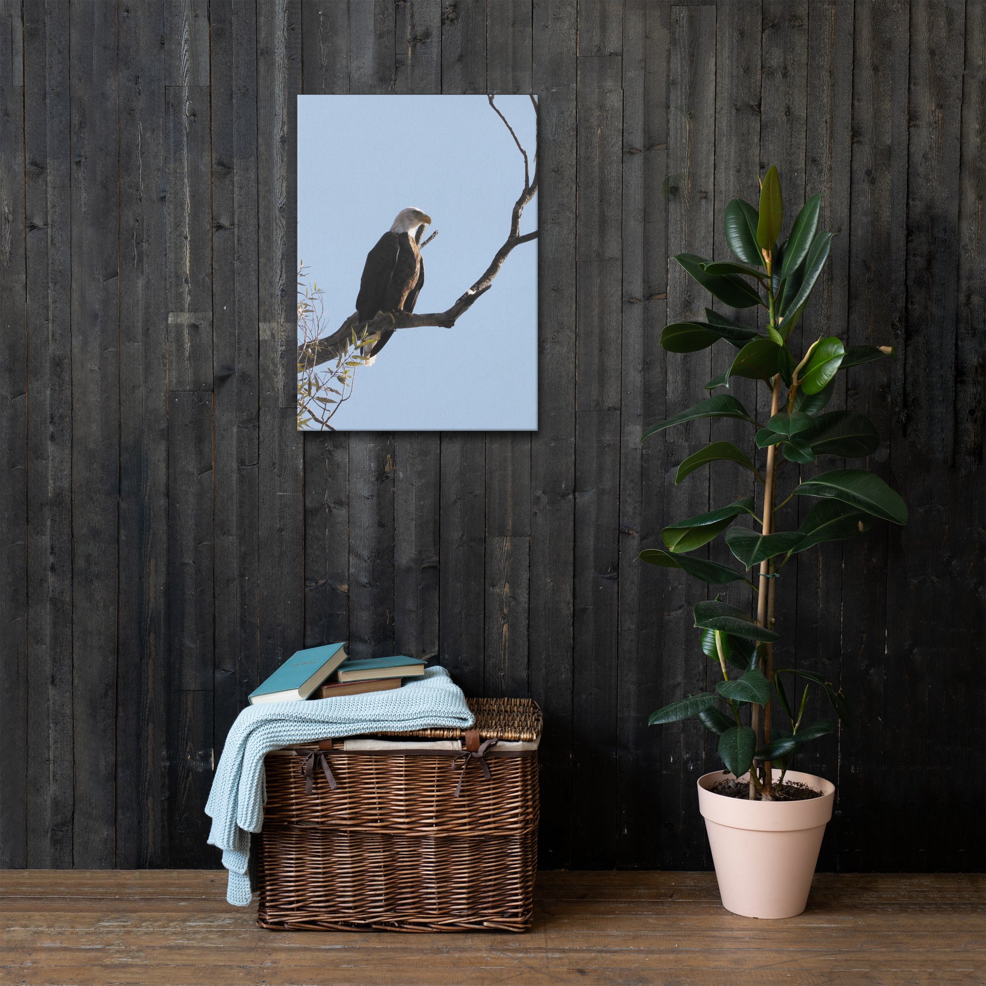 thin-canvas-(in)-20x28-front-66e38fadb2ba6.jpg