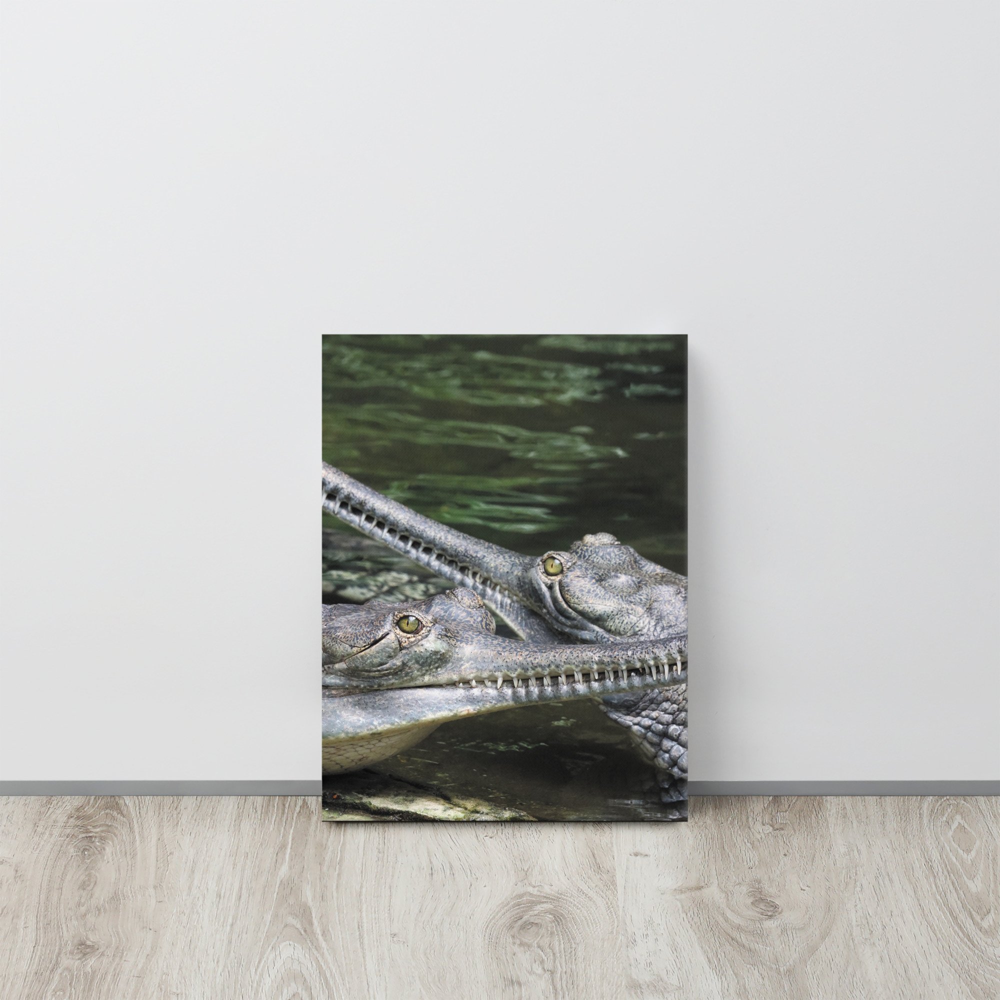 thin-canvas-(in)-12x16-front-66f477b198f9d.jpg