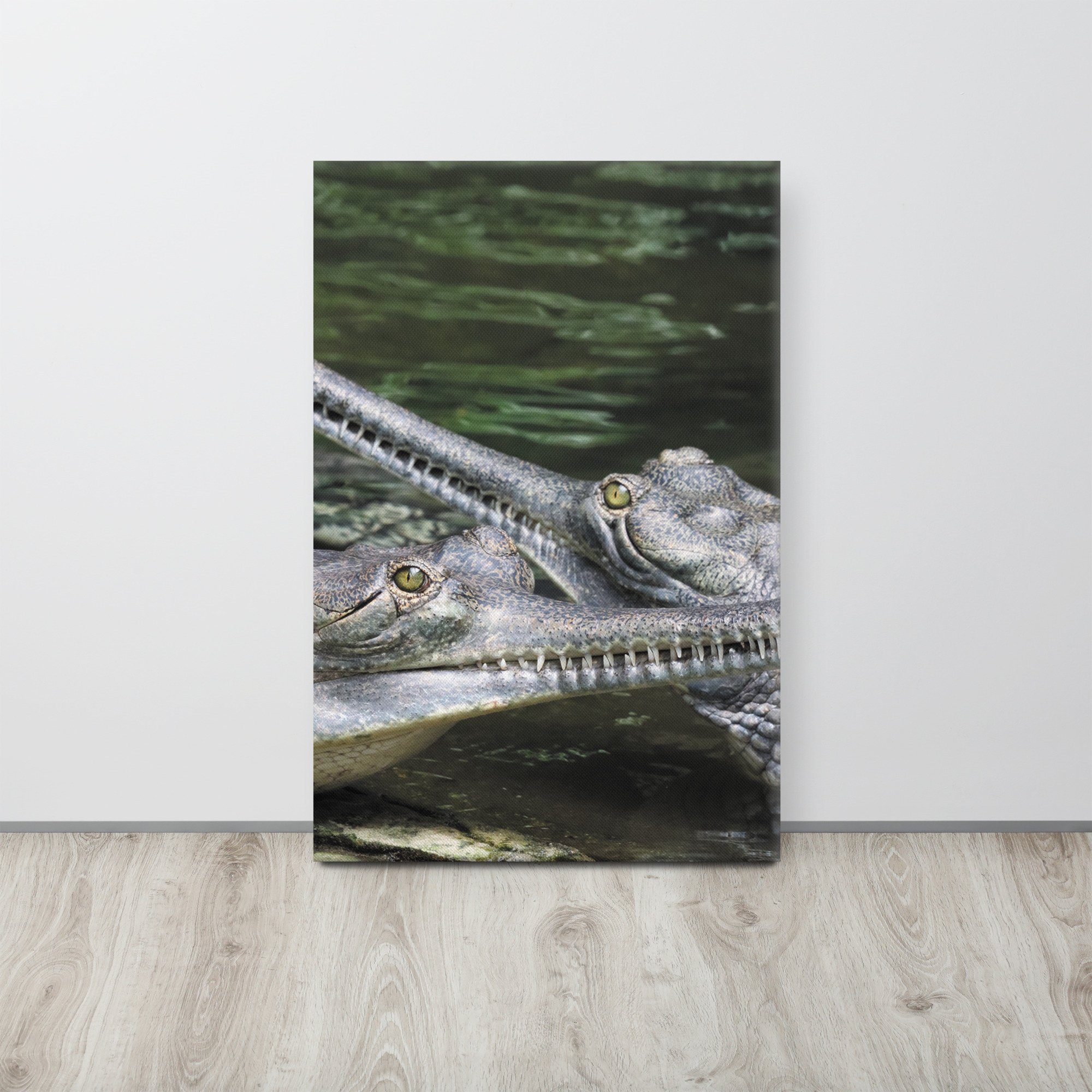 thin-canvas-(in)-20x30-front-66f477b1992c1.jpg