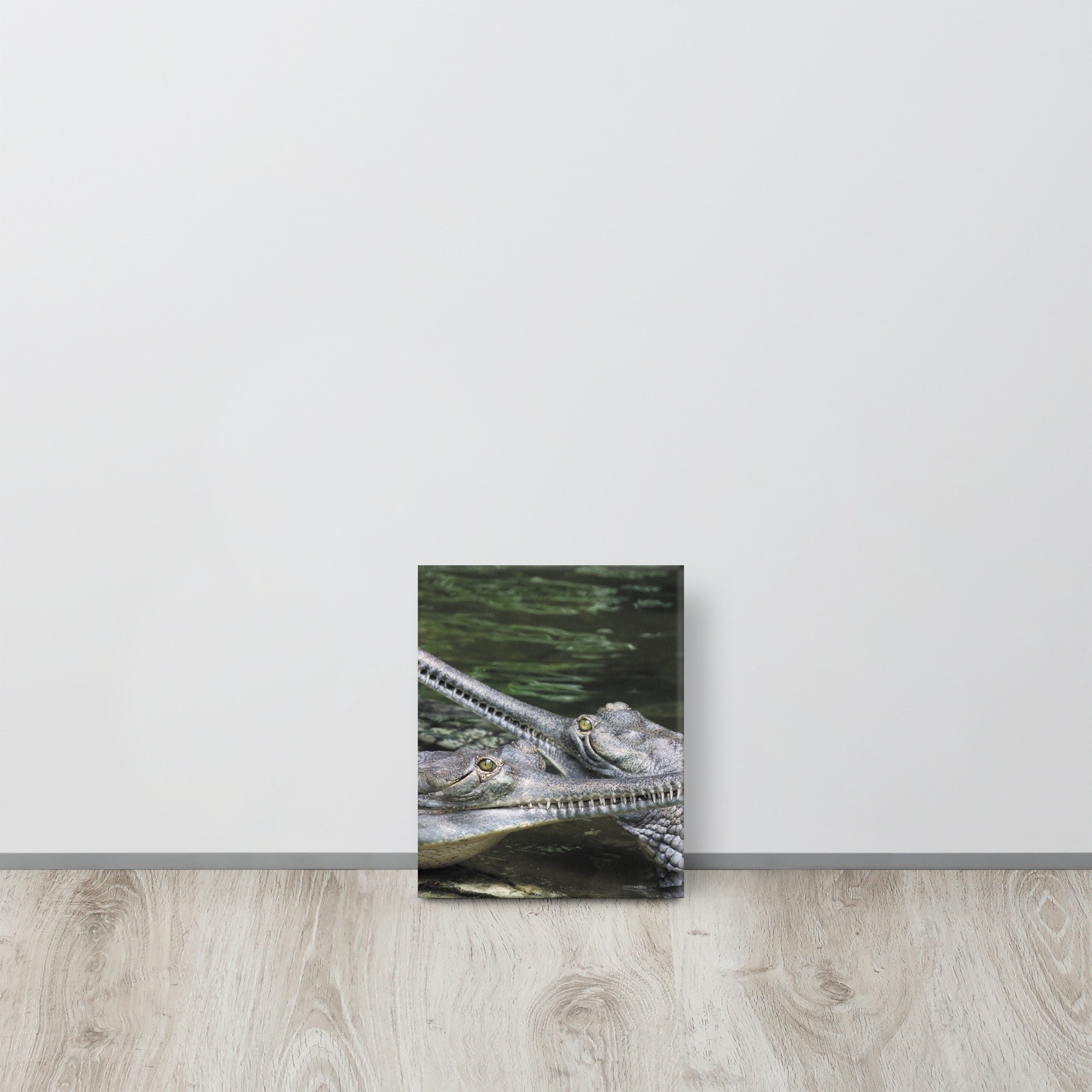 thin-canvas-(in)-8x10-front-66f477b199377.jpg