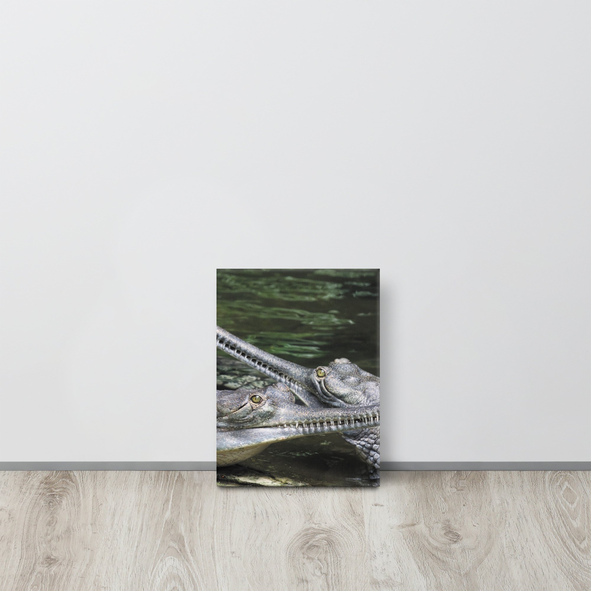 thin-canvas-(in)-9x12-front-66f477b199407.jpg