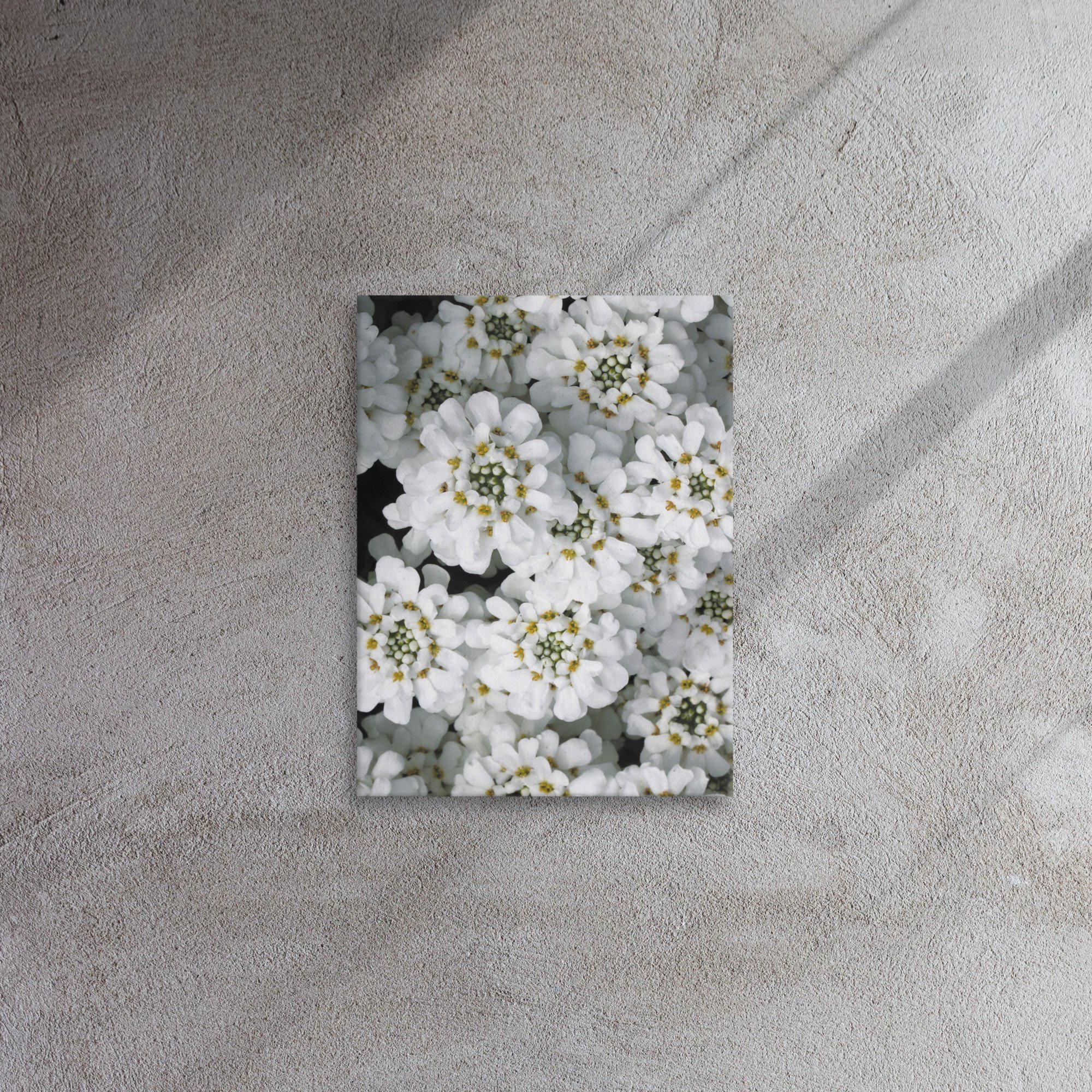 thin-canvas-(in)-12x16-front-66f486abd7b21.jpg
