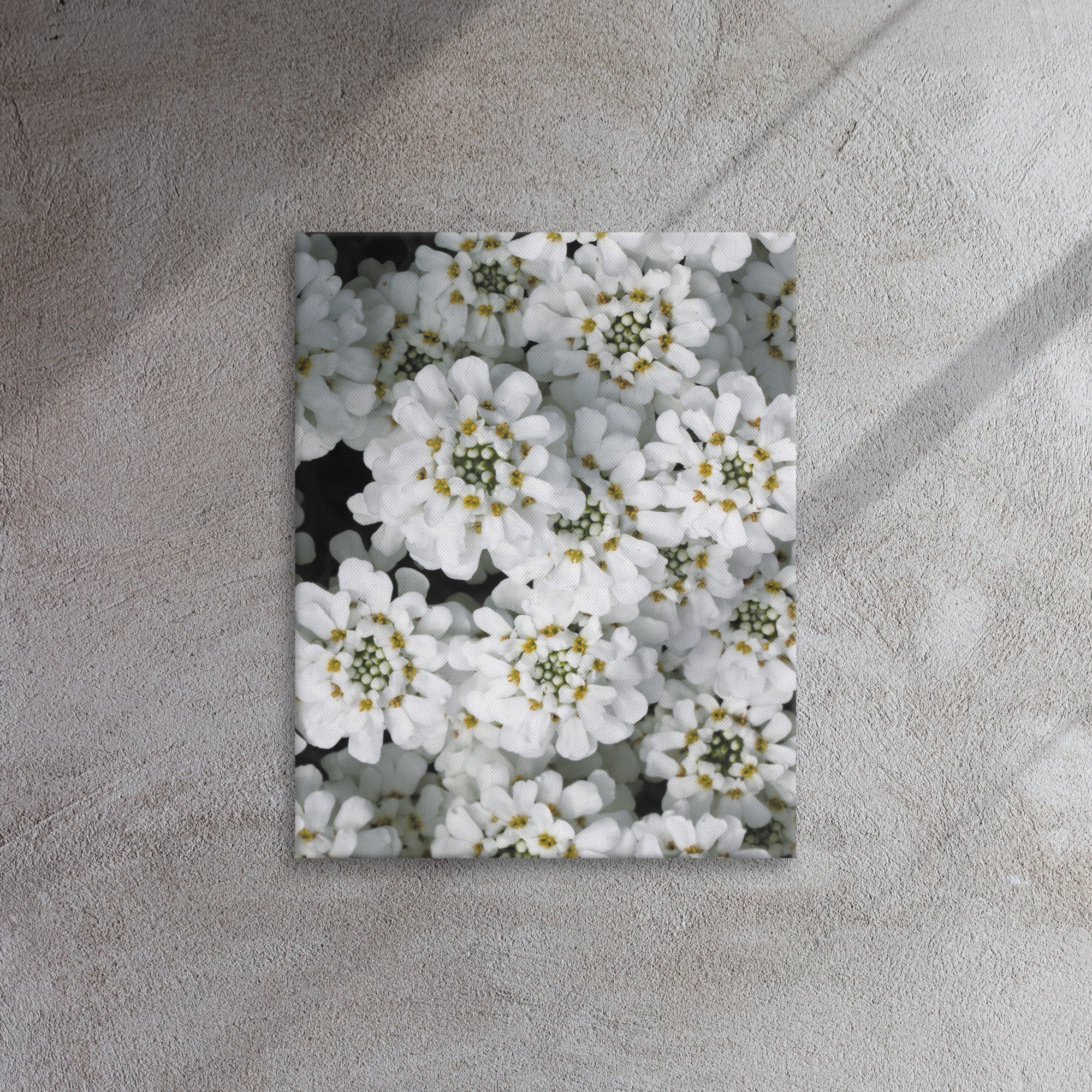 thin-canvas-(in)-16x20-front-66f486abd7c3e.jpg