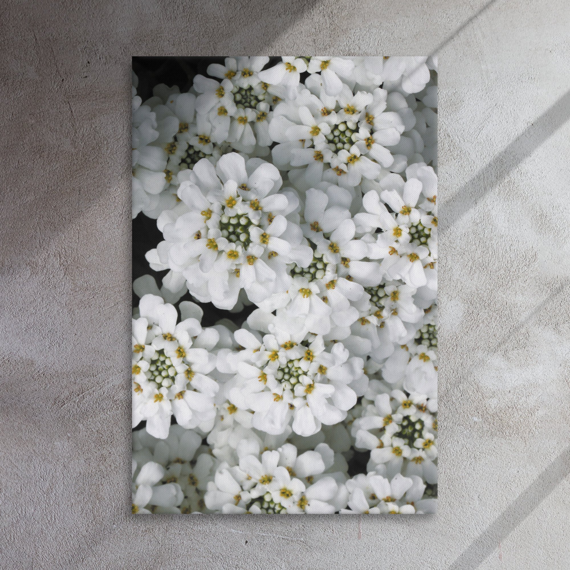 thin-canvas-(in)-24x36-front-66f486abd7d93.jpg