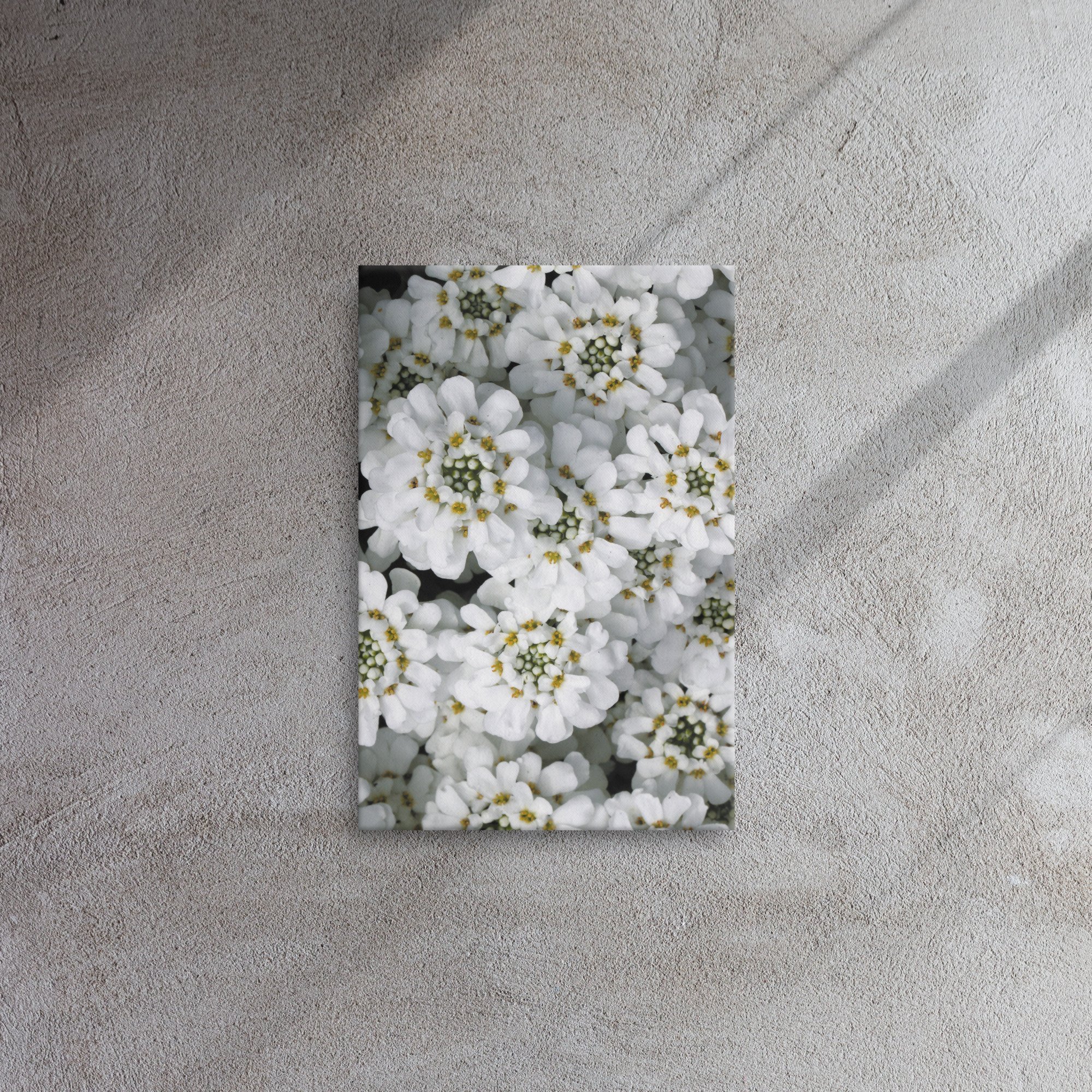 thin-canvas-(in)-12x18-front-66f486abd7e62.jpg