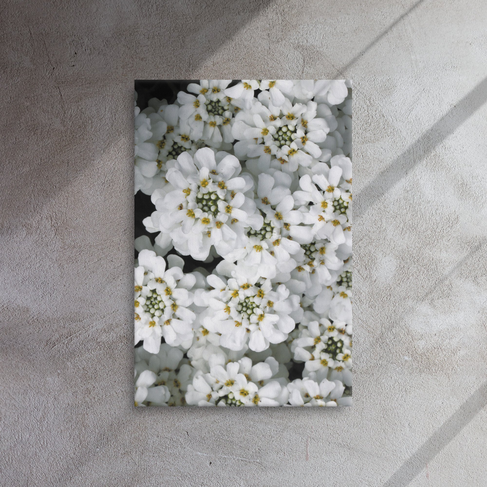 thin-canvas-(in)-20x30-front-66f486abd7f43.jpg