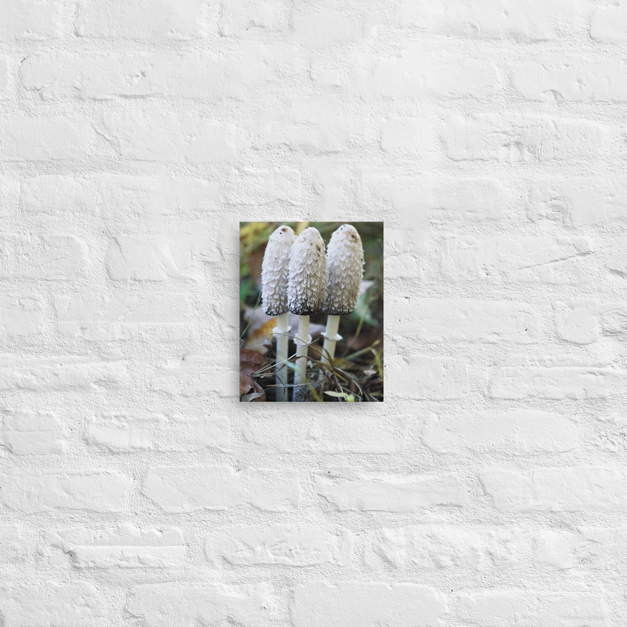 thin-canvas-(in)-8x10-front-66f58d0459091.jpg