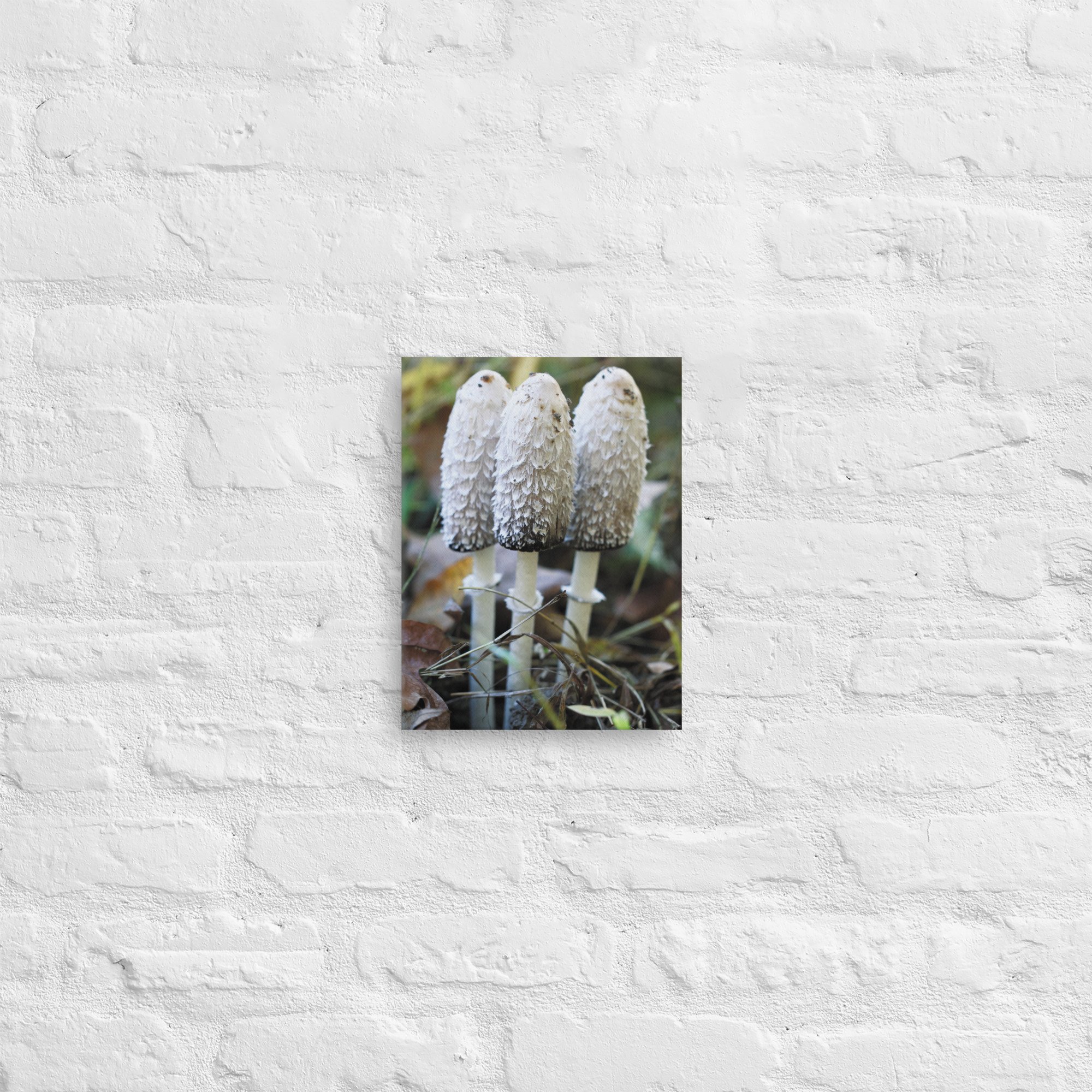 thin-canvas-(in)-9x12-front-66f58d045915d.jpg