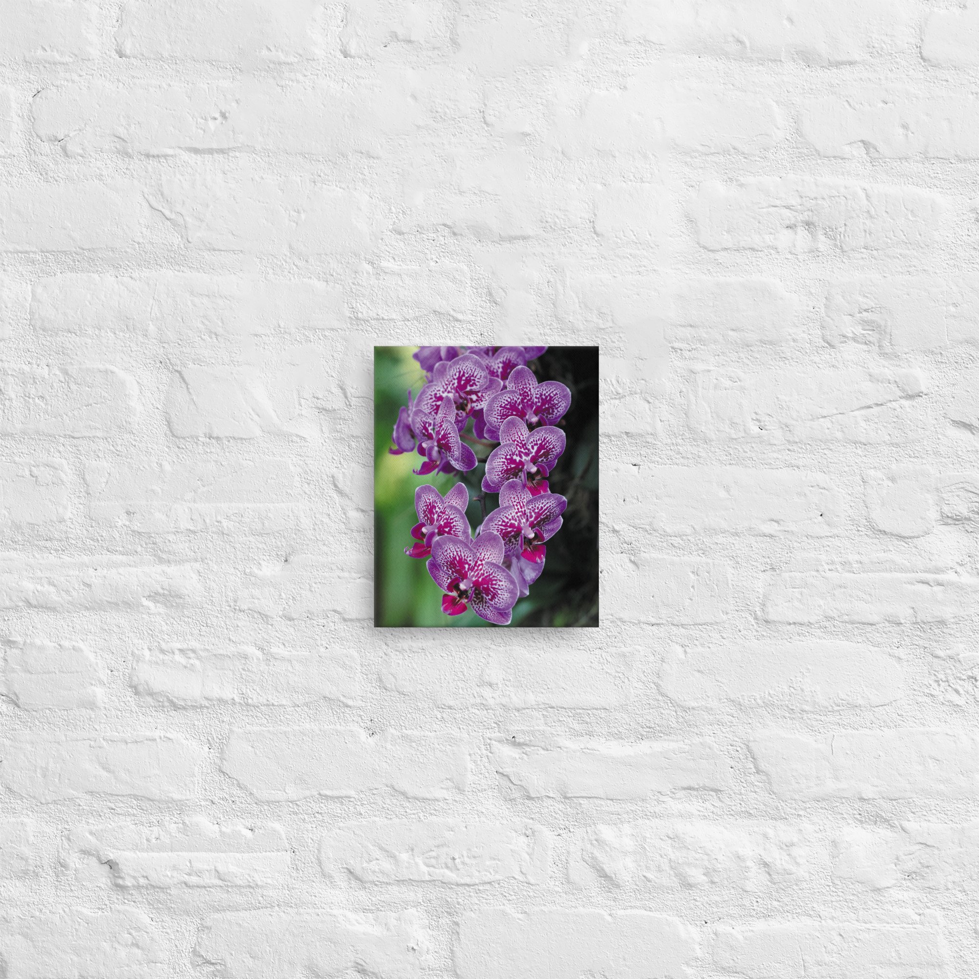 thin-canvas-(in)-8x10-front-66f5a18ab9eef.jpg