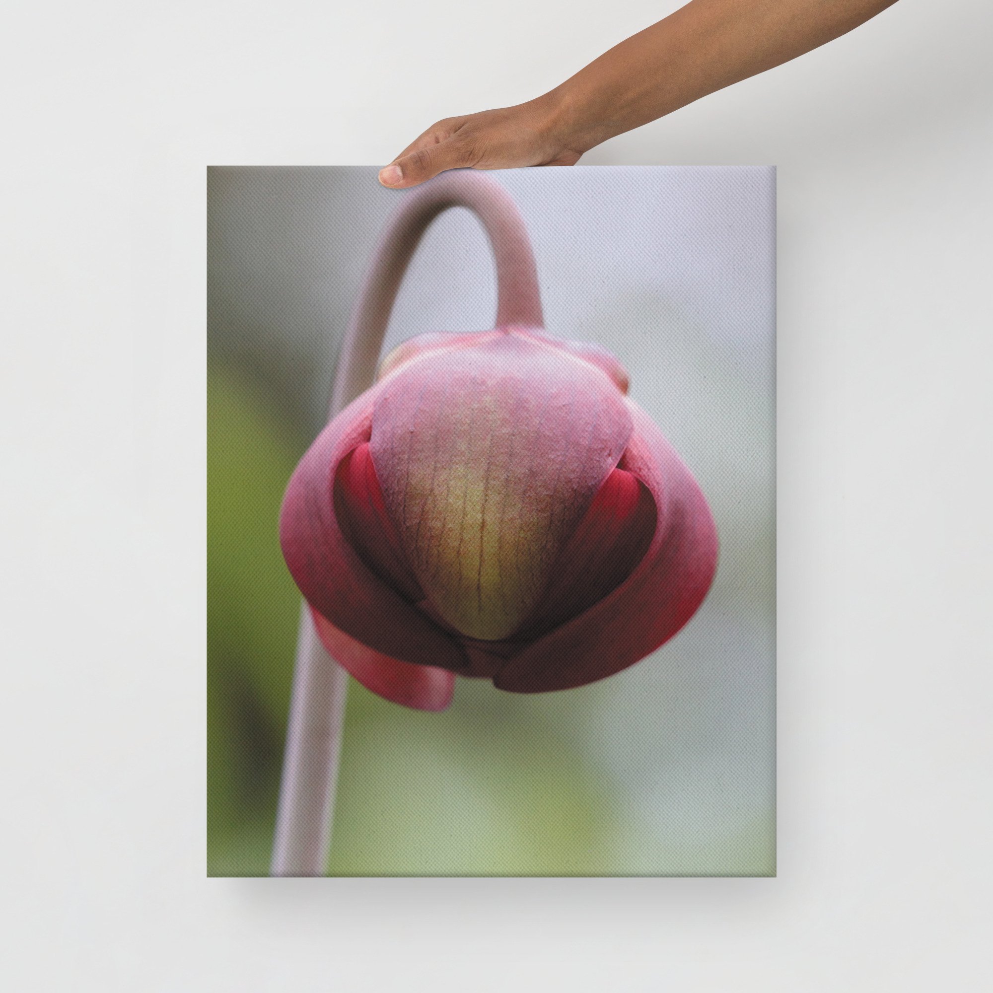 thin-canvas-(in)-16x20-front-66f61a0f2d504.jpg