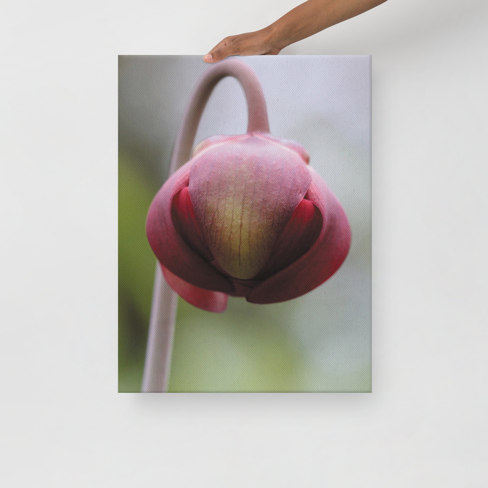 thin-canvas-(in)-18x24-front-66f61a0f2d5ed.jpg
