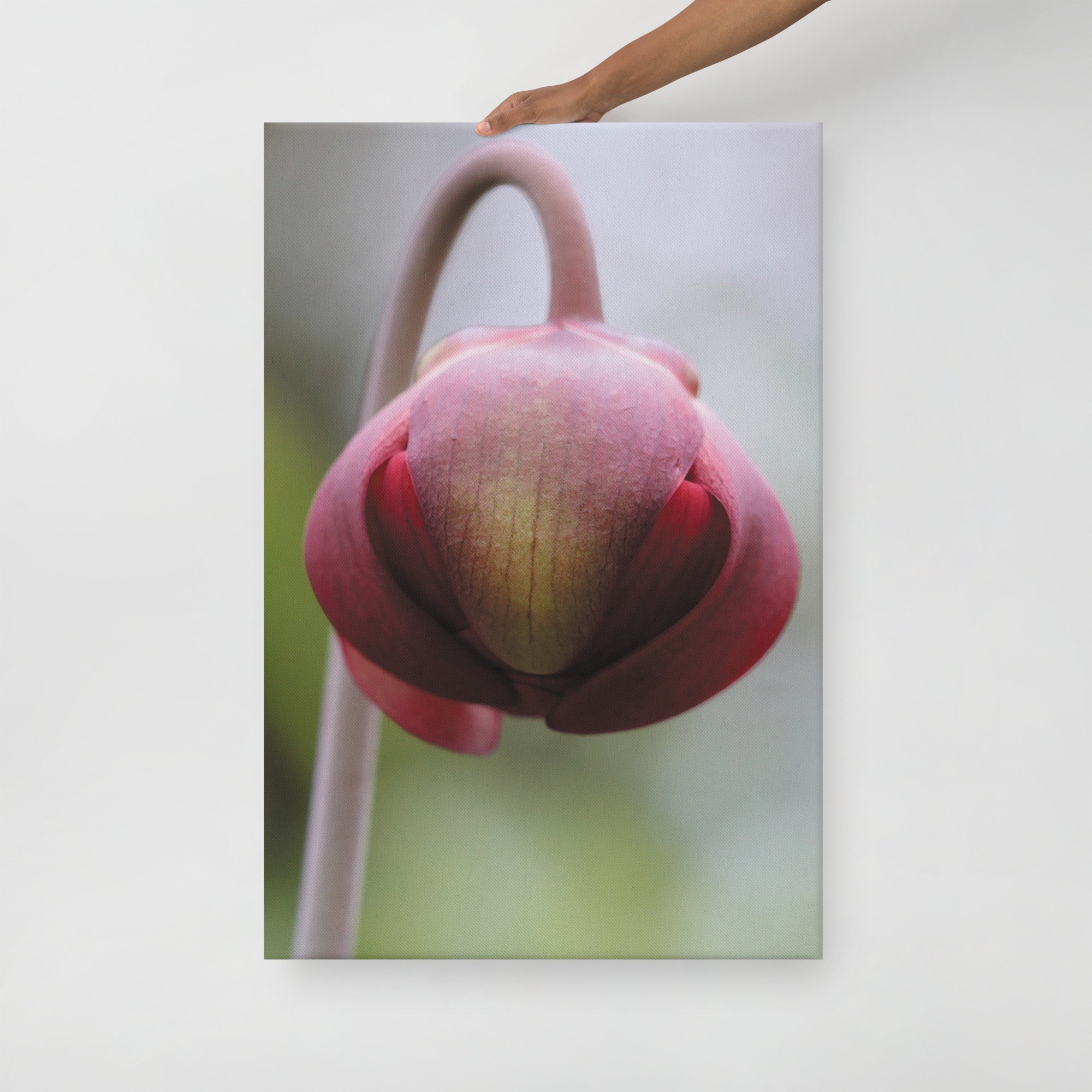thin-canvas-(in)-24x36-front-66f61a0f2d6b0.jpg