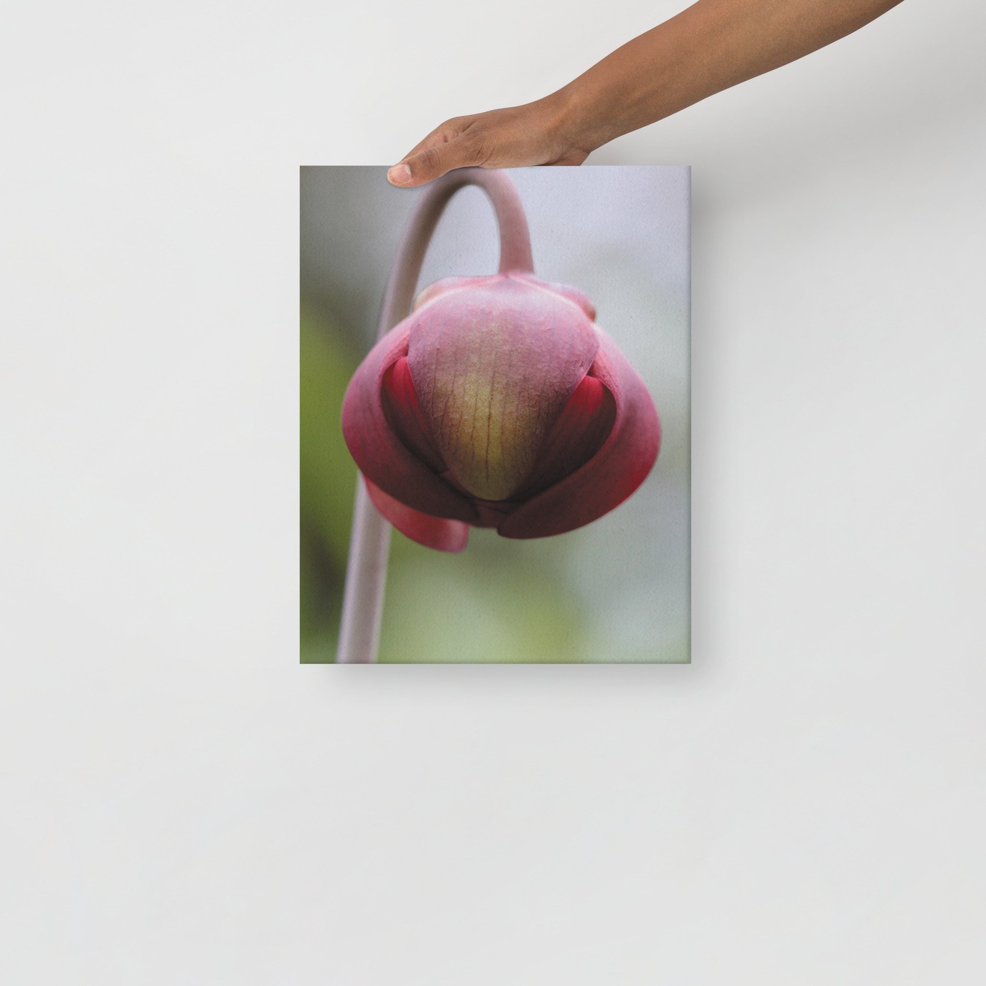 thin-canvas-(in)-11x14-front-66f61a0f2d768.jpg