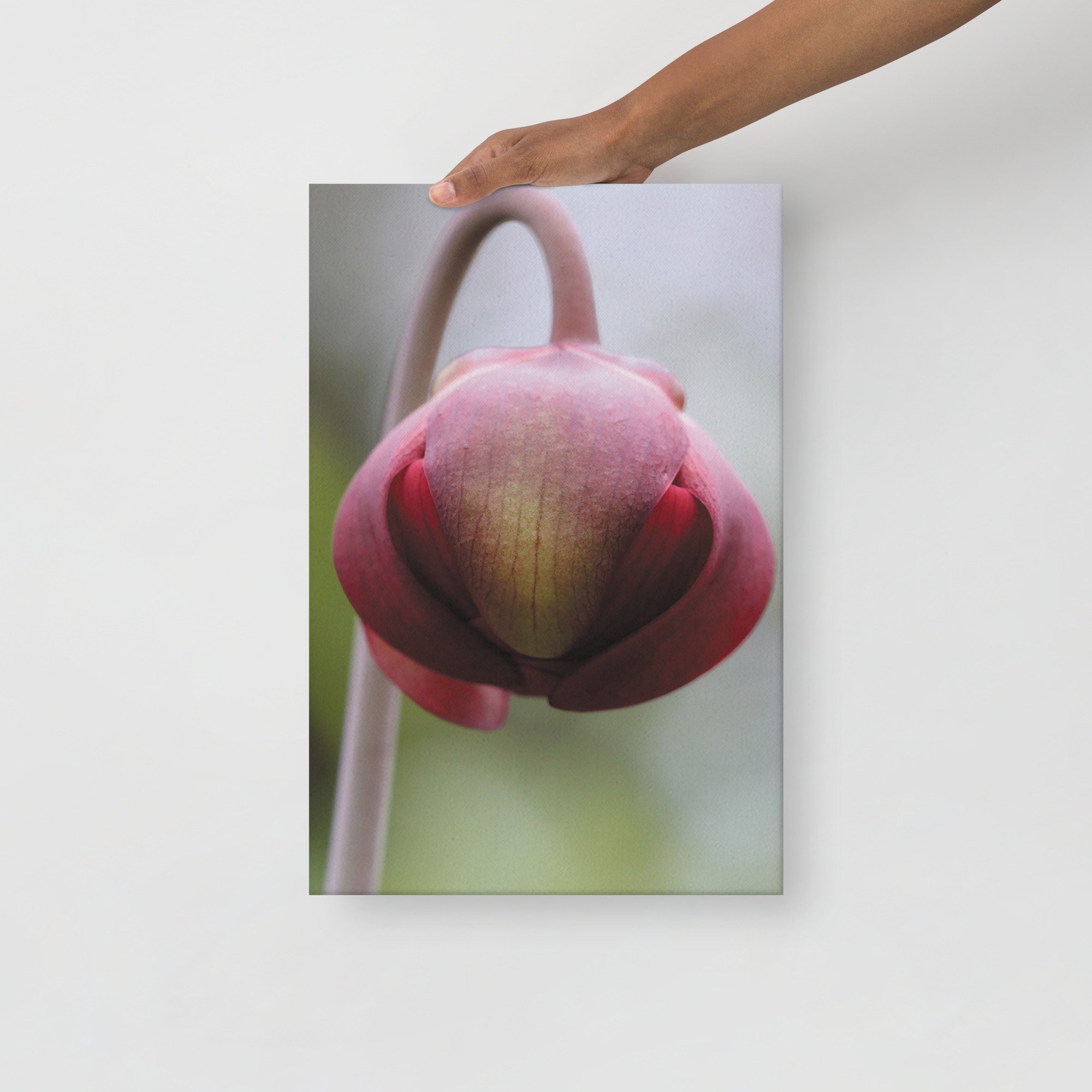 thin-canvas-(in)-12x18-front-66f61a0f2d815.jpg