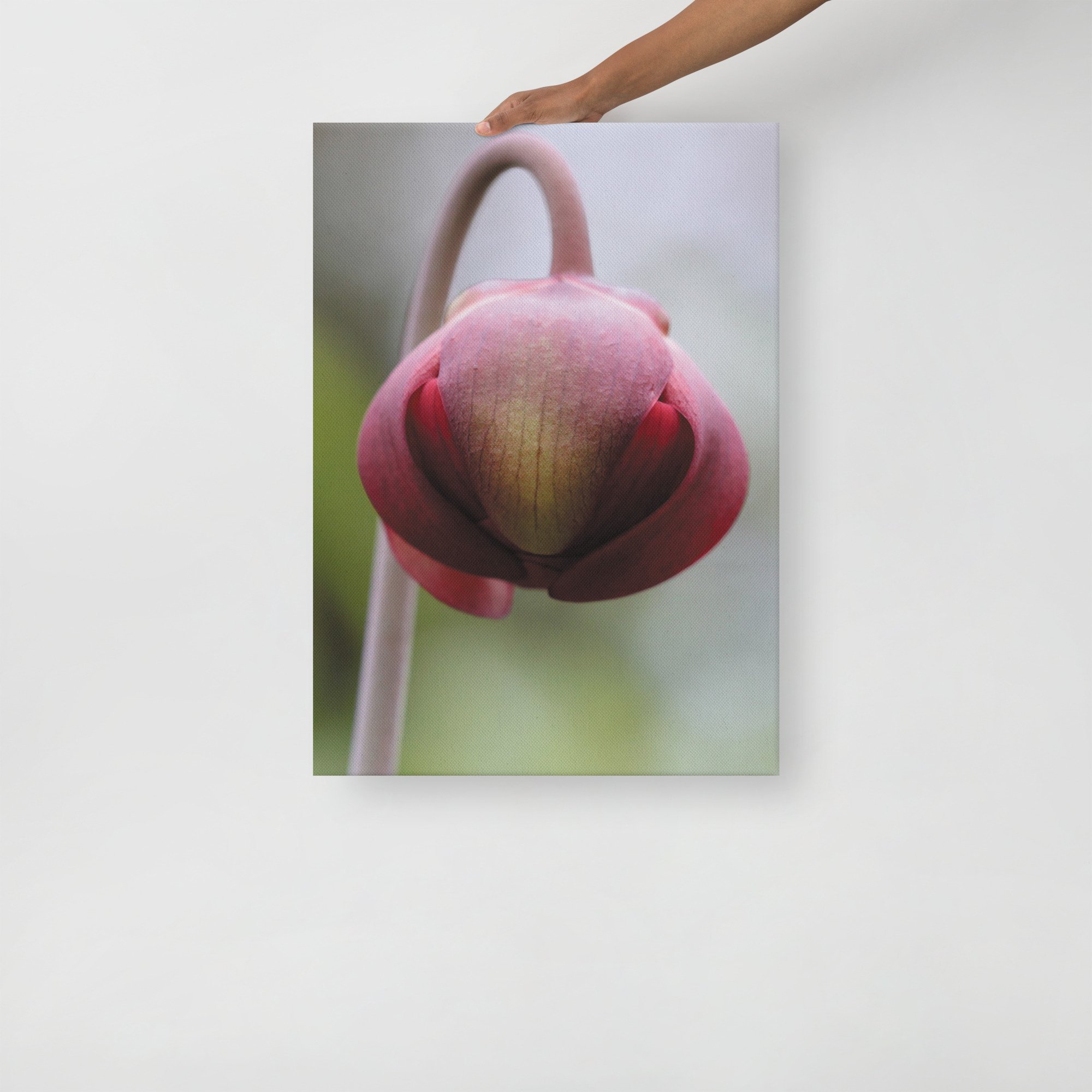 thin-canvas-(in)-20x28-front-66f61a0f2d8c4.jpg