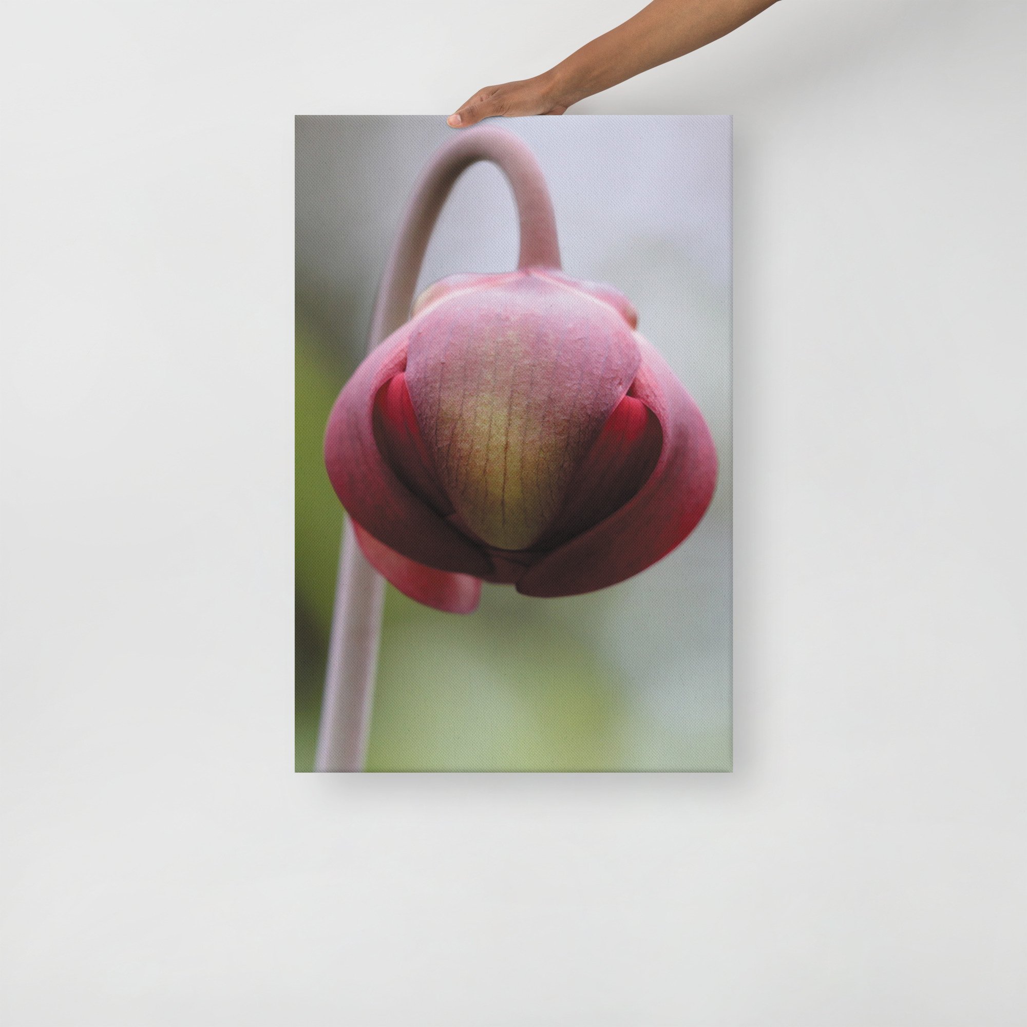 thin-canvas-(in)-20x30-front-66f61a0f2d972.jpg