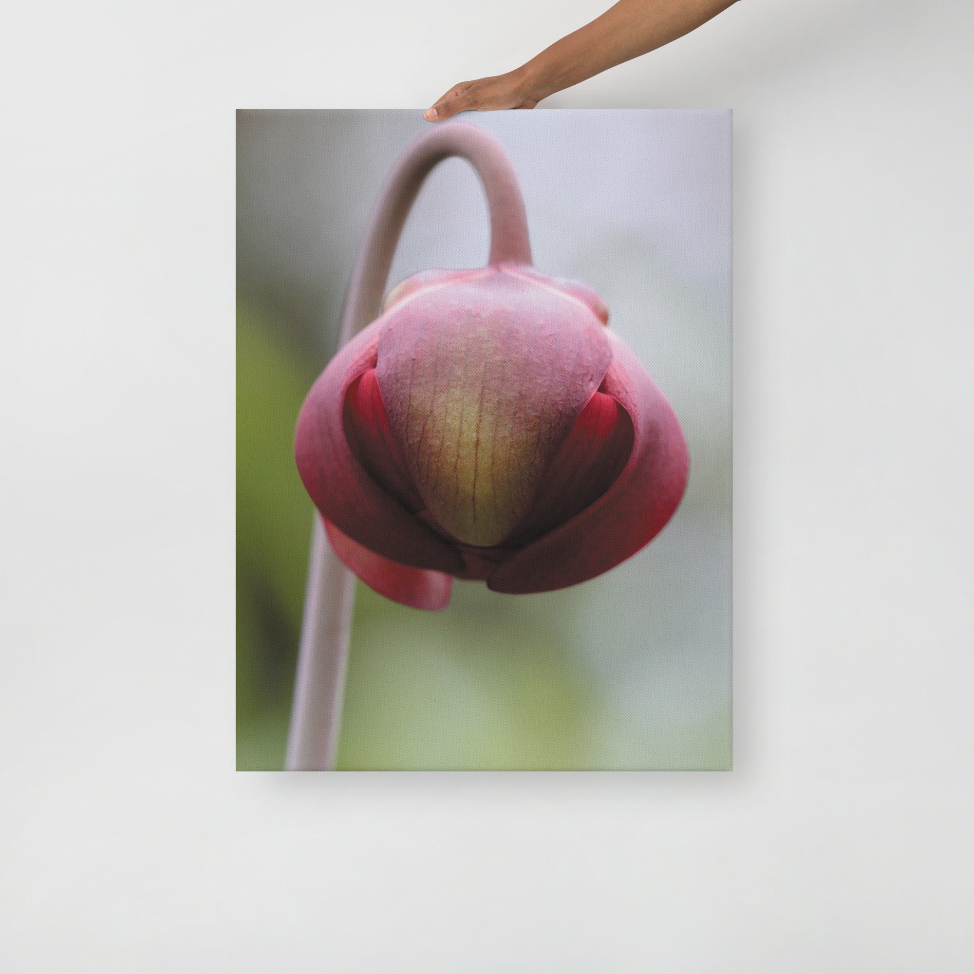 thin-canvas-(in)-24x32-front-66f61a0f2da1e.jpg