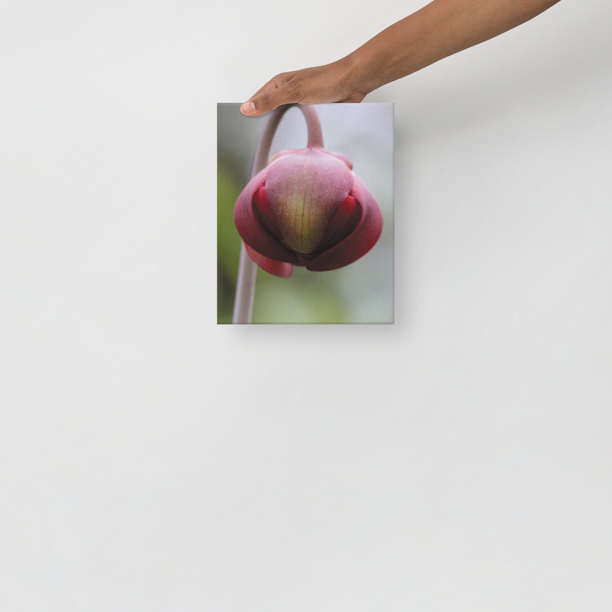 thin-canvas-(in)-8x10-front-66f61a0f2dac7.jpg