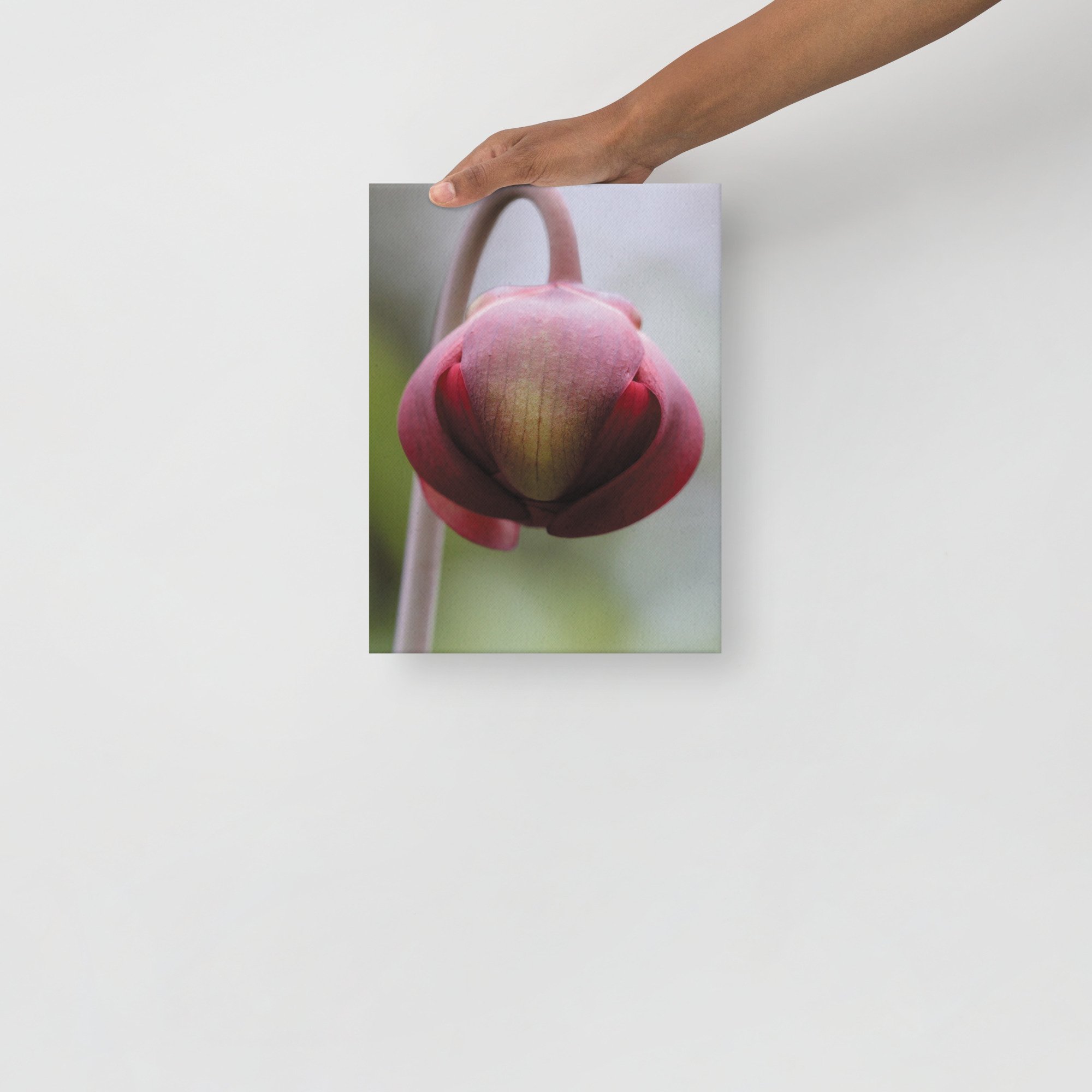 thin-canvas-(in)-9x12-front-66f61a0f2db70.jpg