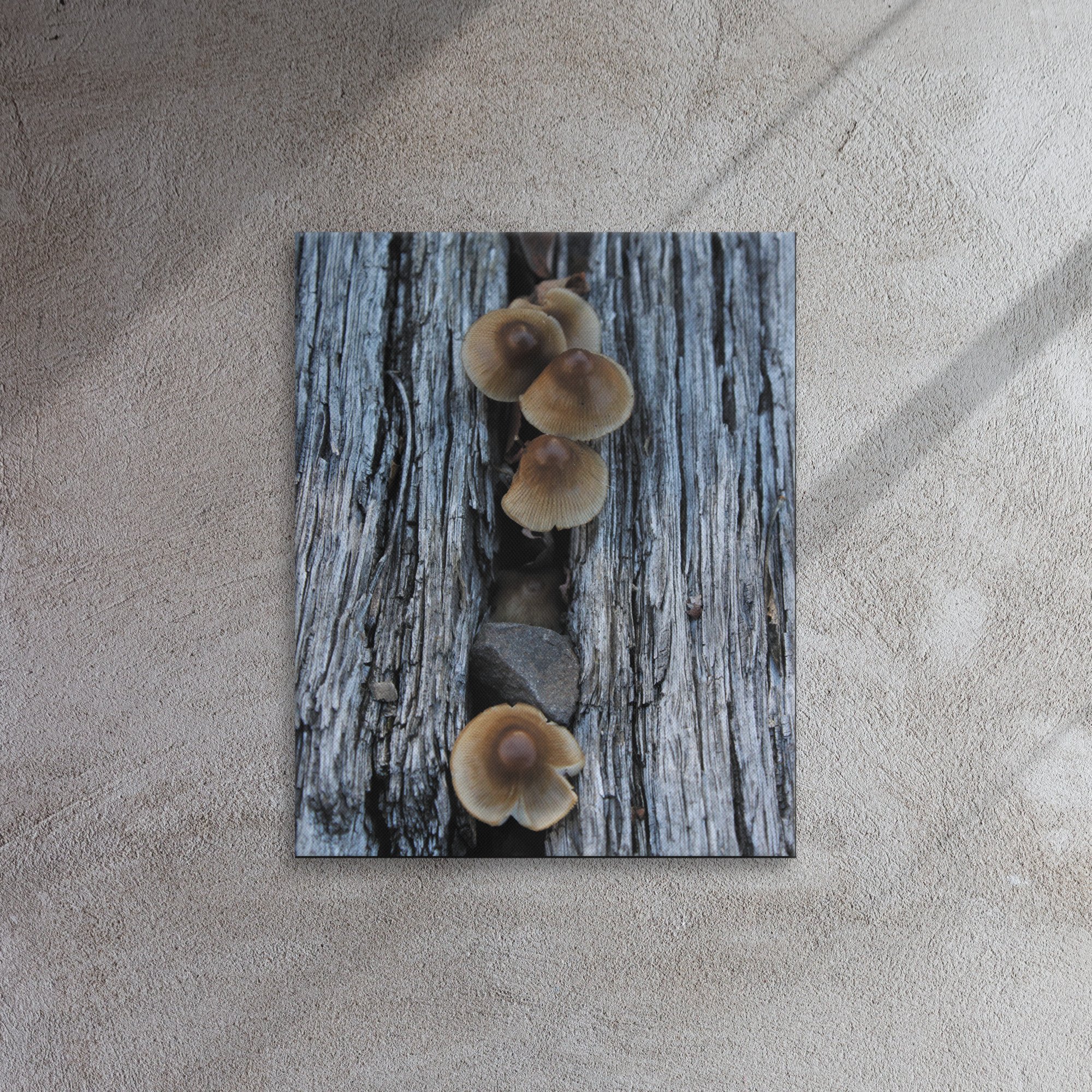 thin-canvas-(in)-16x20-front-66f61d7d7fea4.jpg