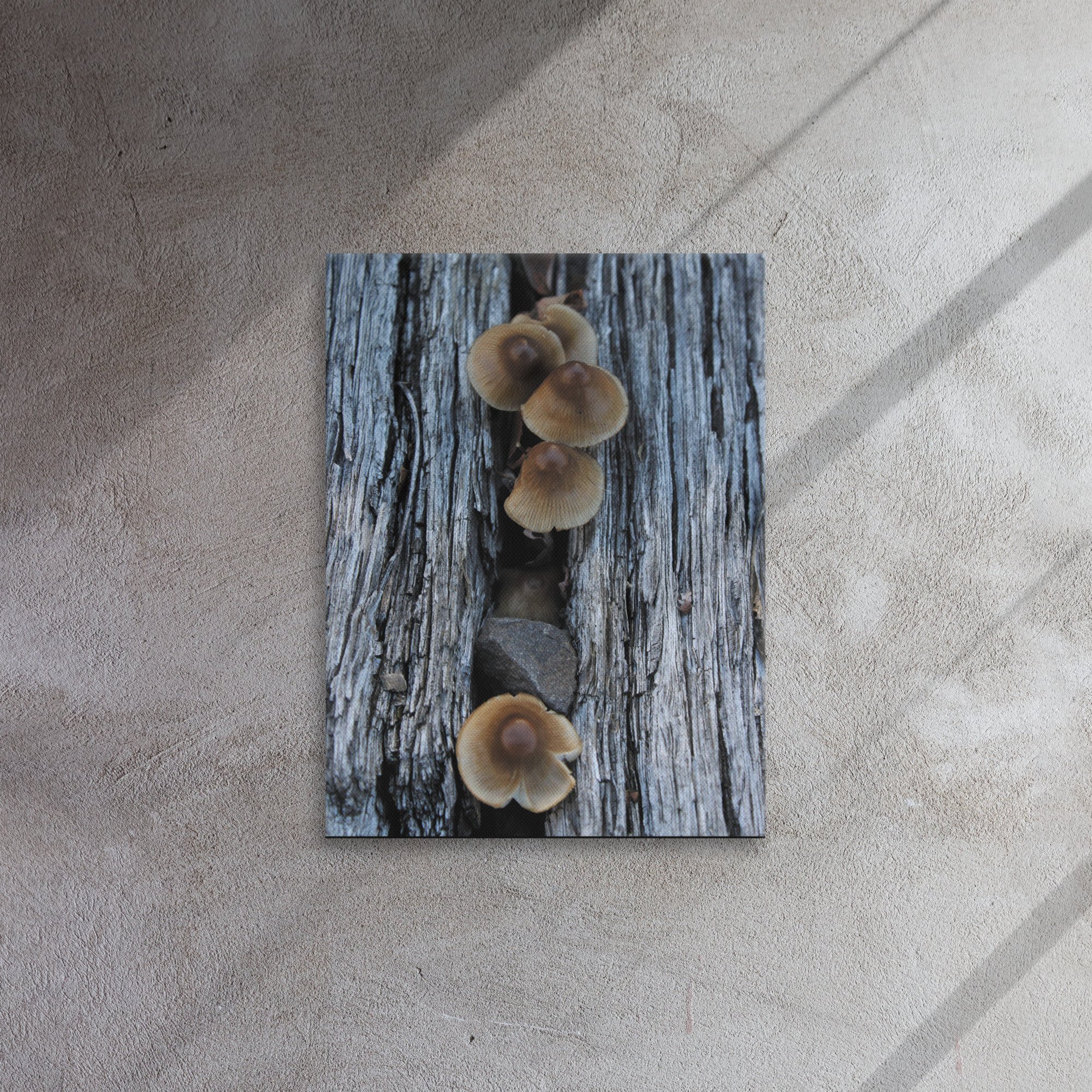 thin-canvas-(in)-18x24-front-66f61d7d7ff80.jpg