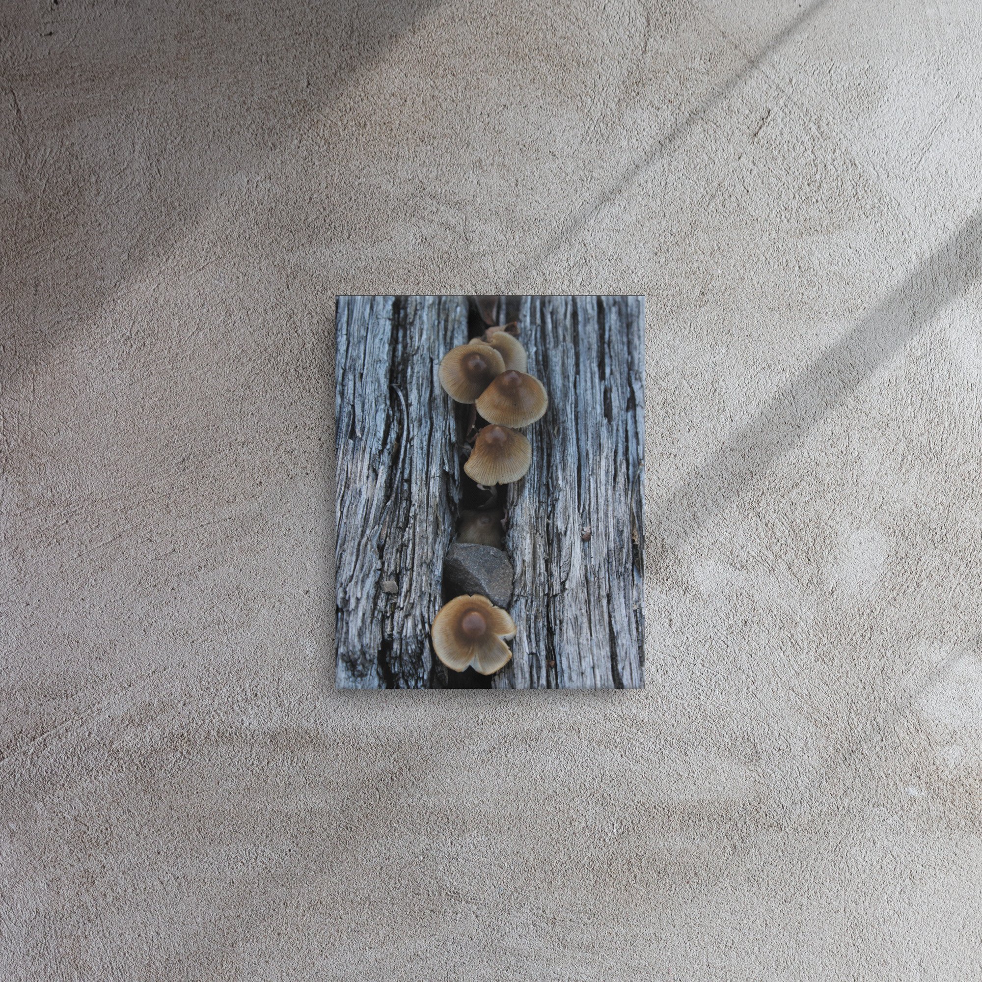 thin-canvas-(in)-11x14-front-66f61d7d80135.jpg