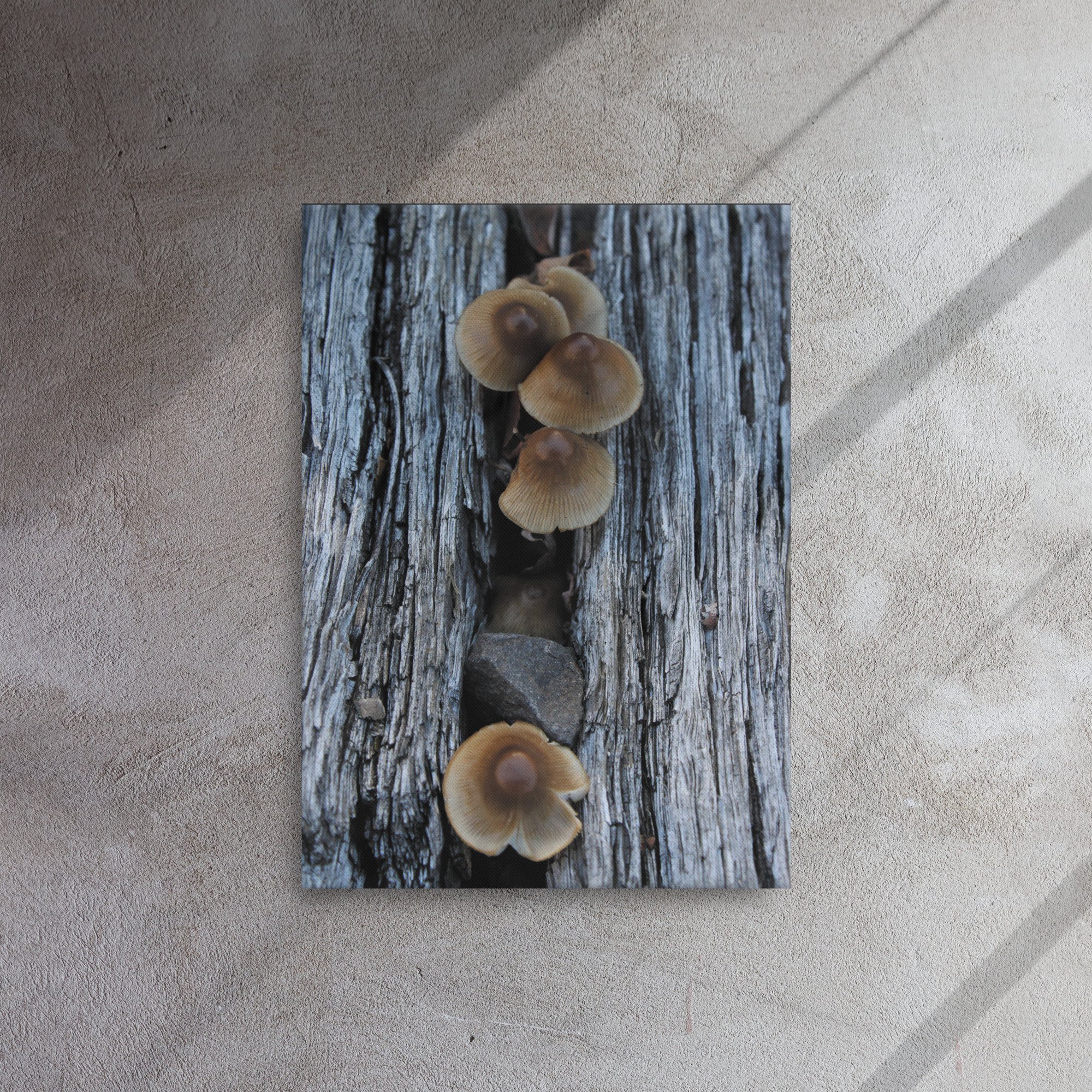 thin-canvas-(in)-20x28-front-66f61d7d8028f.jpg