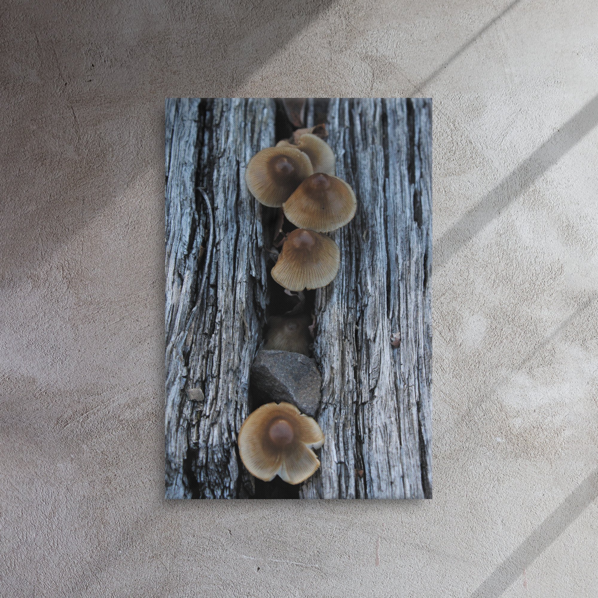 thin-canvas-(in)-20x30-front-66f61d7d80350.jpg
