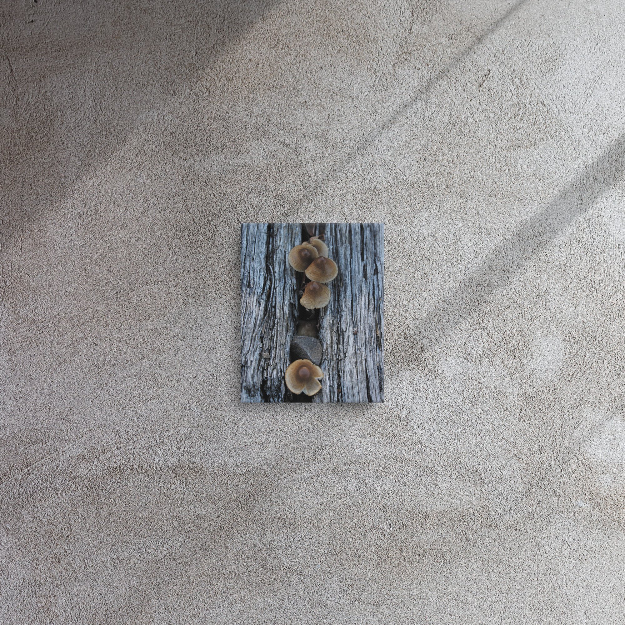thin-canvas-(in)-8x10-front-66f61d7d80428.jpg
