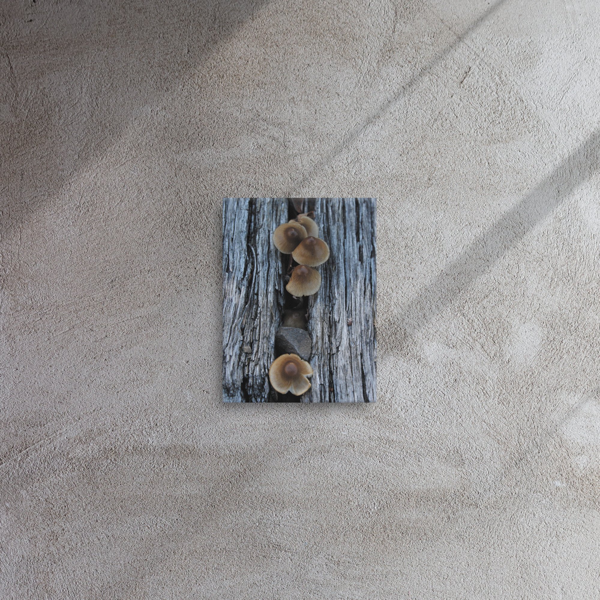 thin-canvas-(in)-9x12-front-66f61d7d804d9.jpg