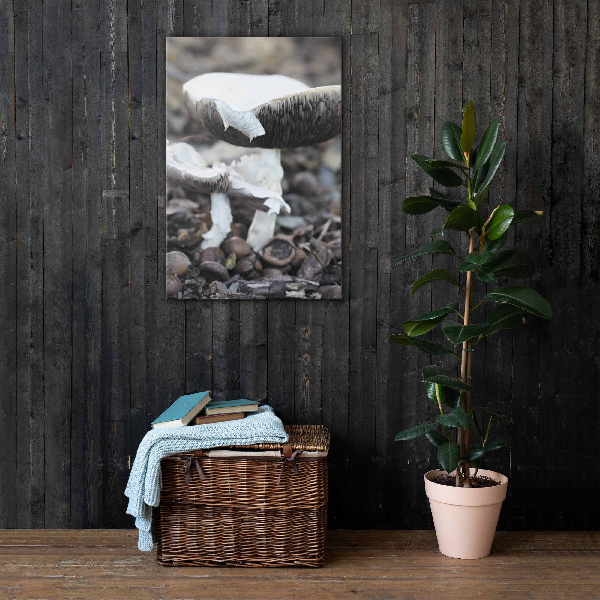 thin-canvas-(in)-24x36-front-66f626a3c98a3.jpg