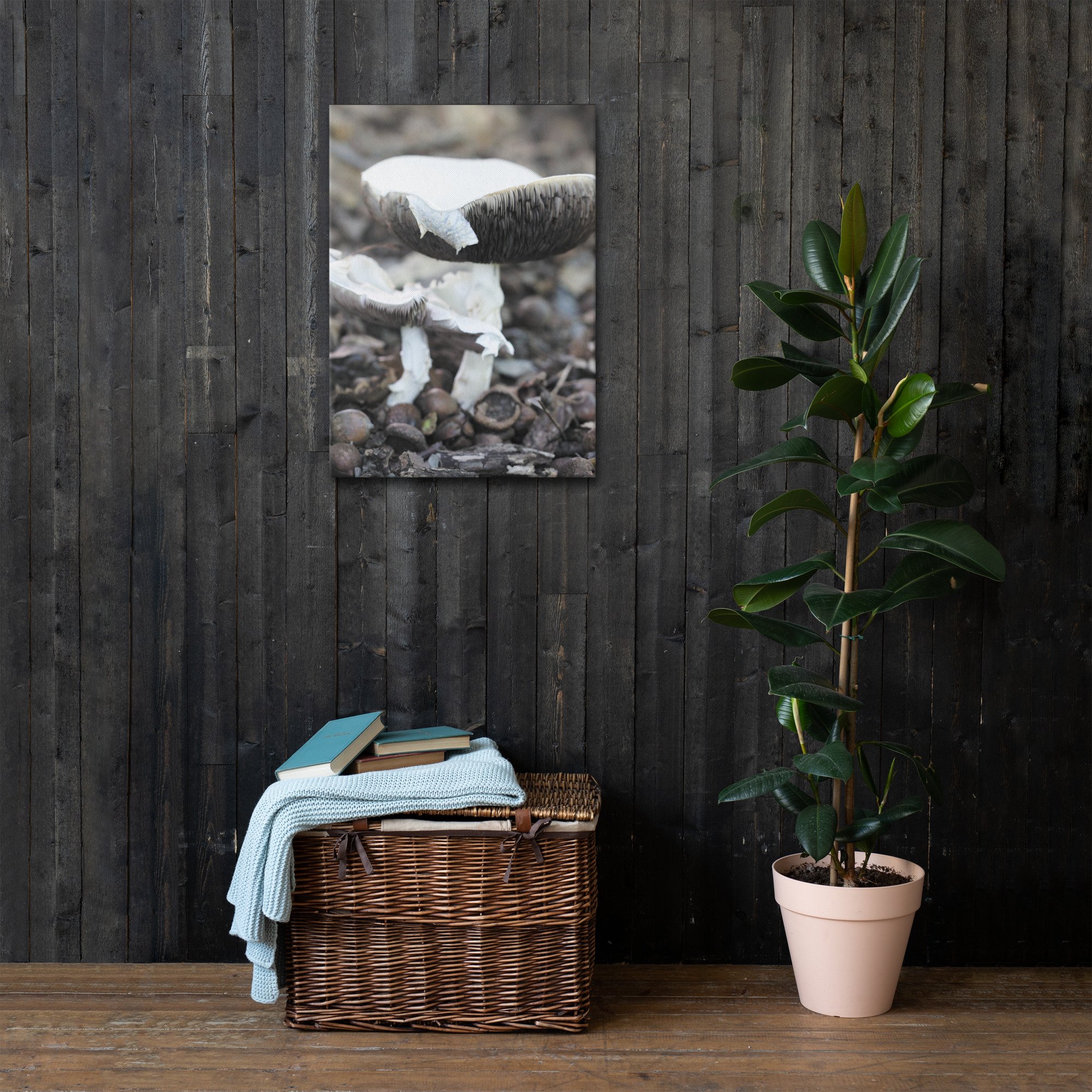 thin-canvas-(in)-20x28-front-66f626a3c99fe.jpg