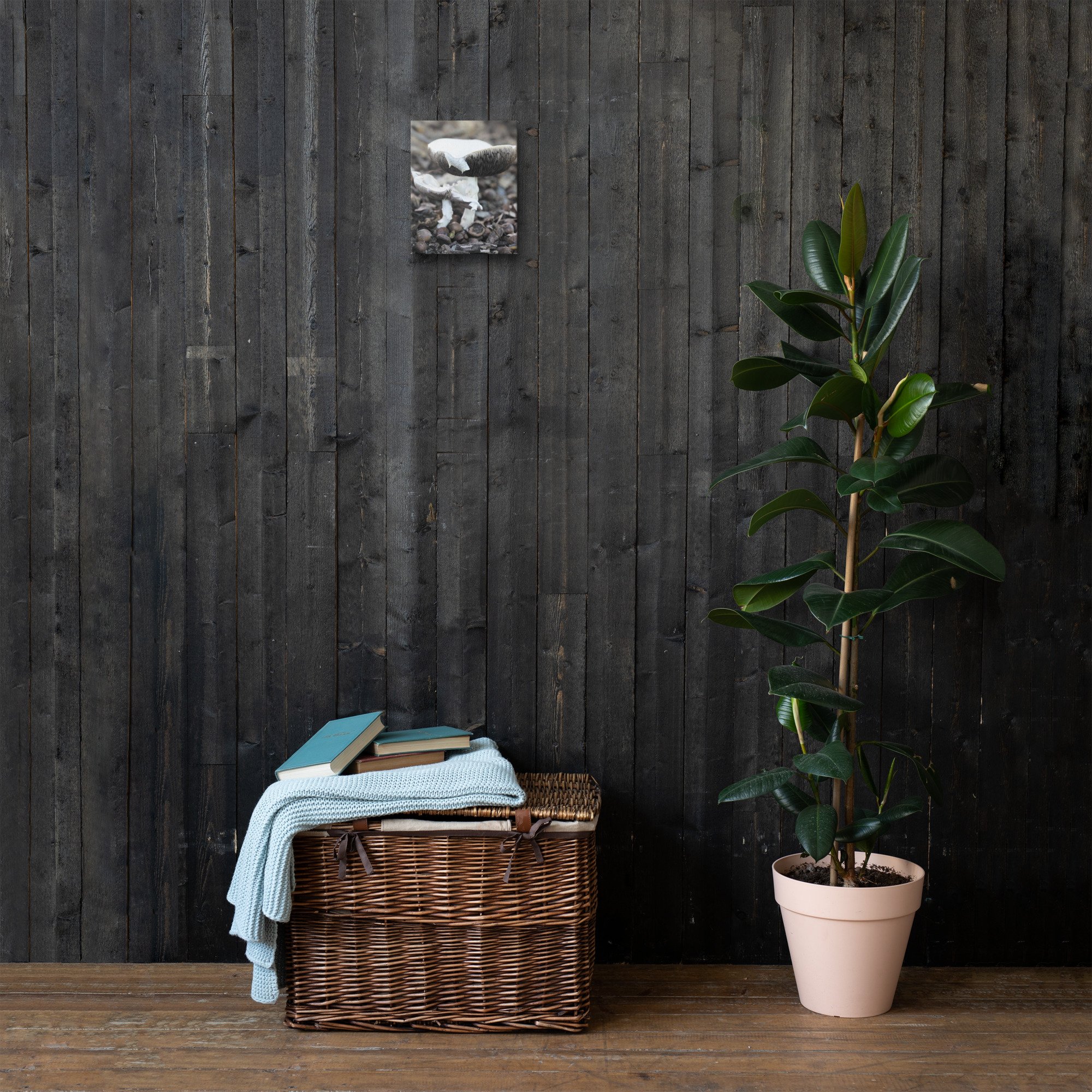 thin-canvas-(in)-8x10-front-66f626a3c9af2.jpg